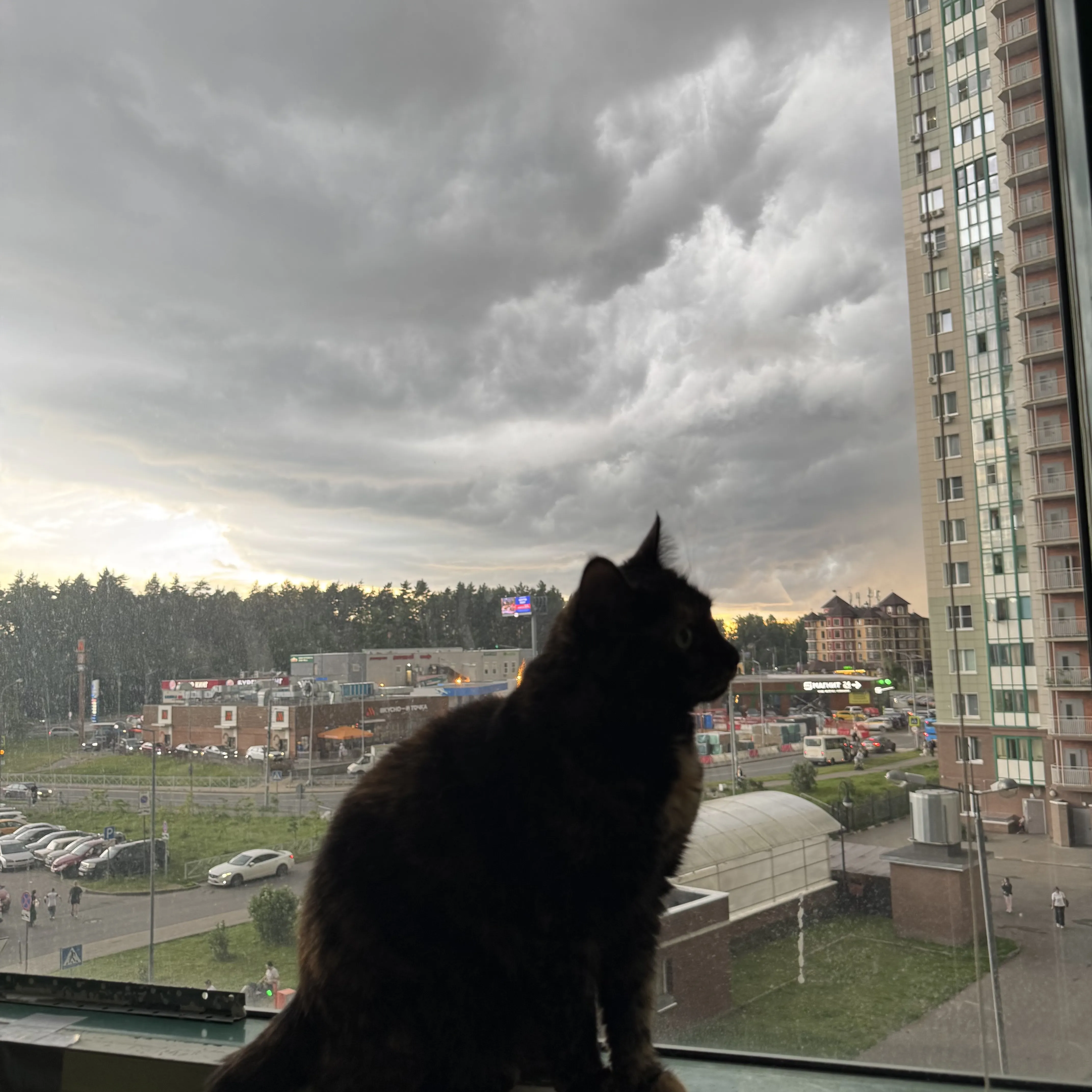 природна красота во всем