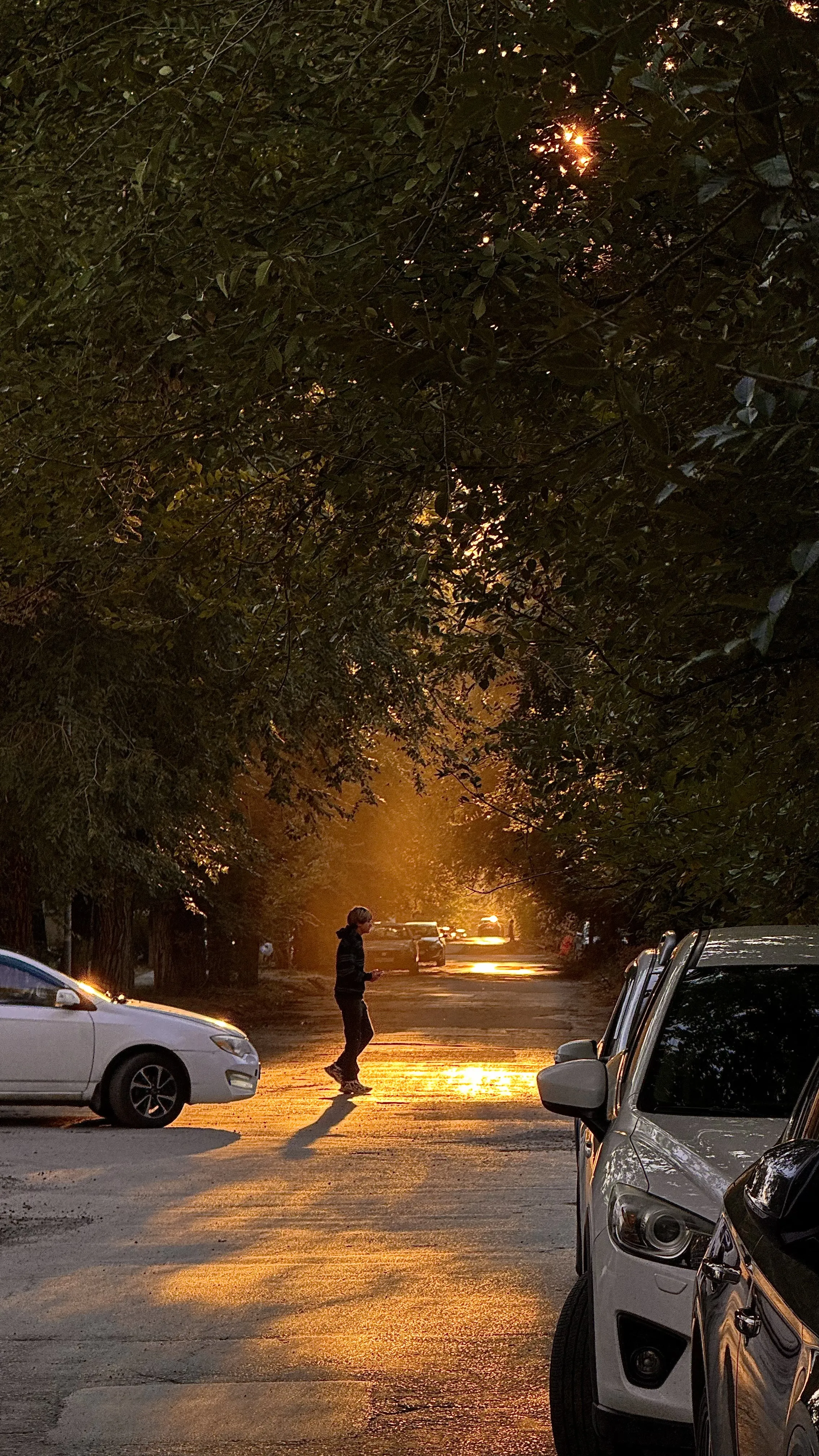 Момент