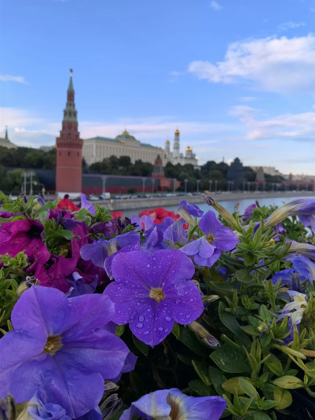 Цветущая Москва