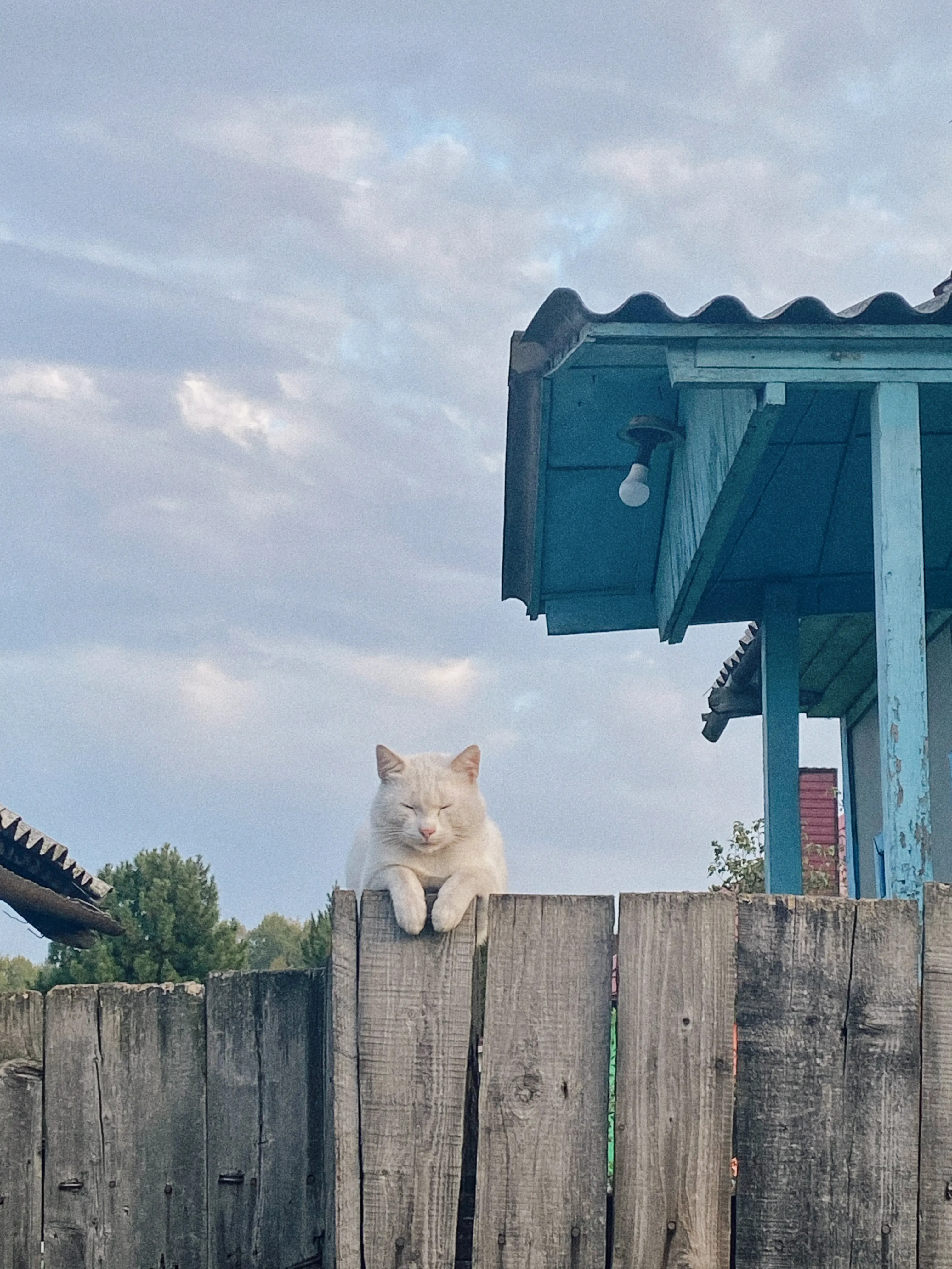 Стражник