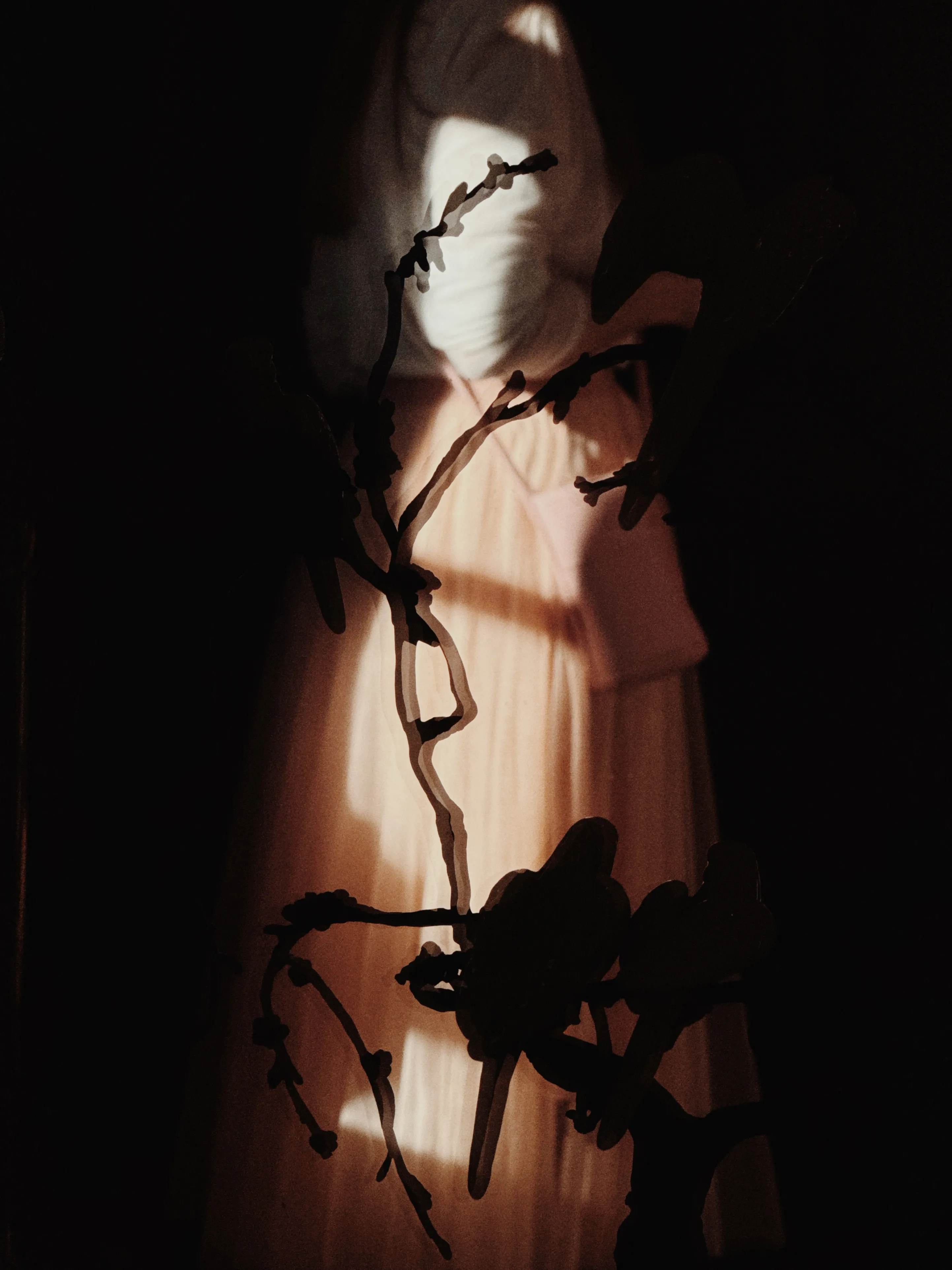 Light from the past