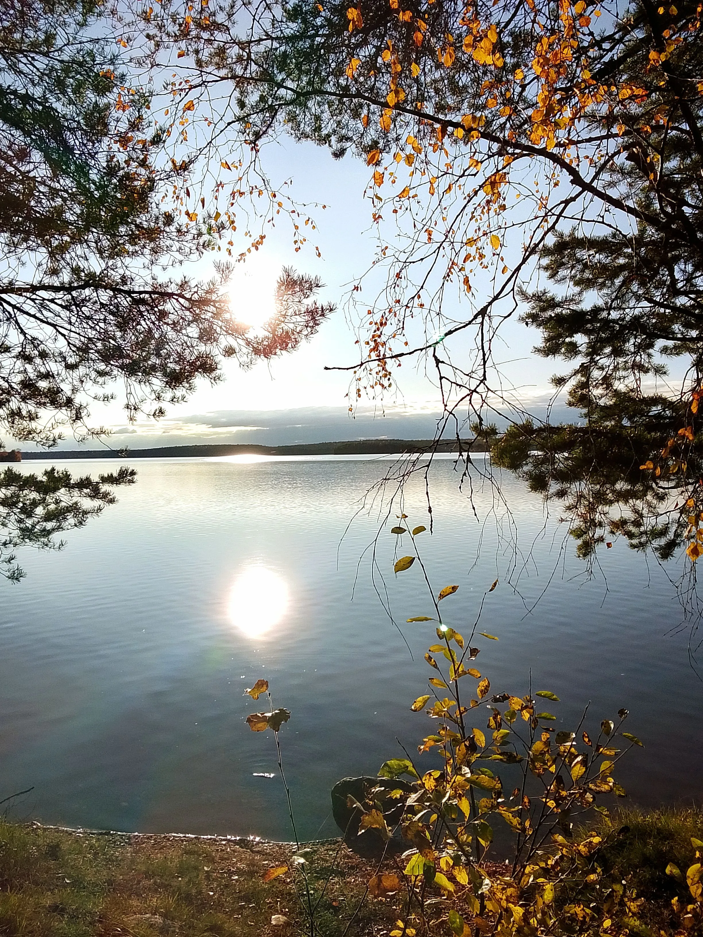 Солнышко