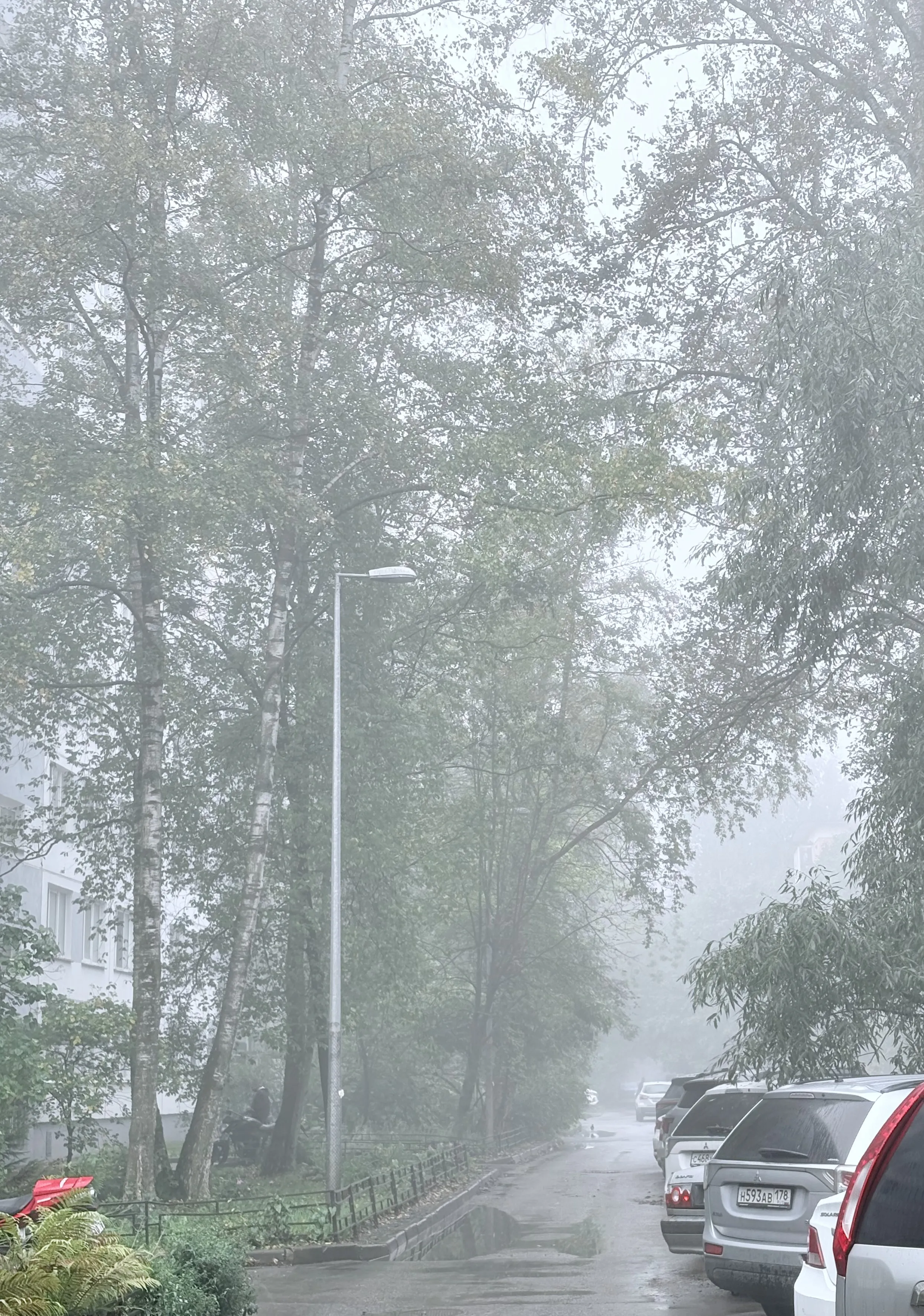 Эфемерность