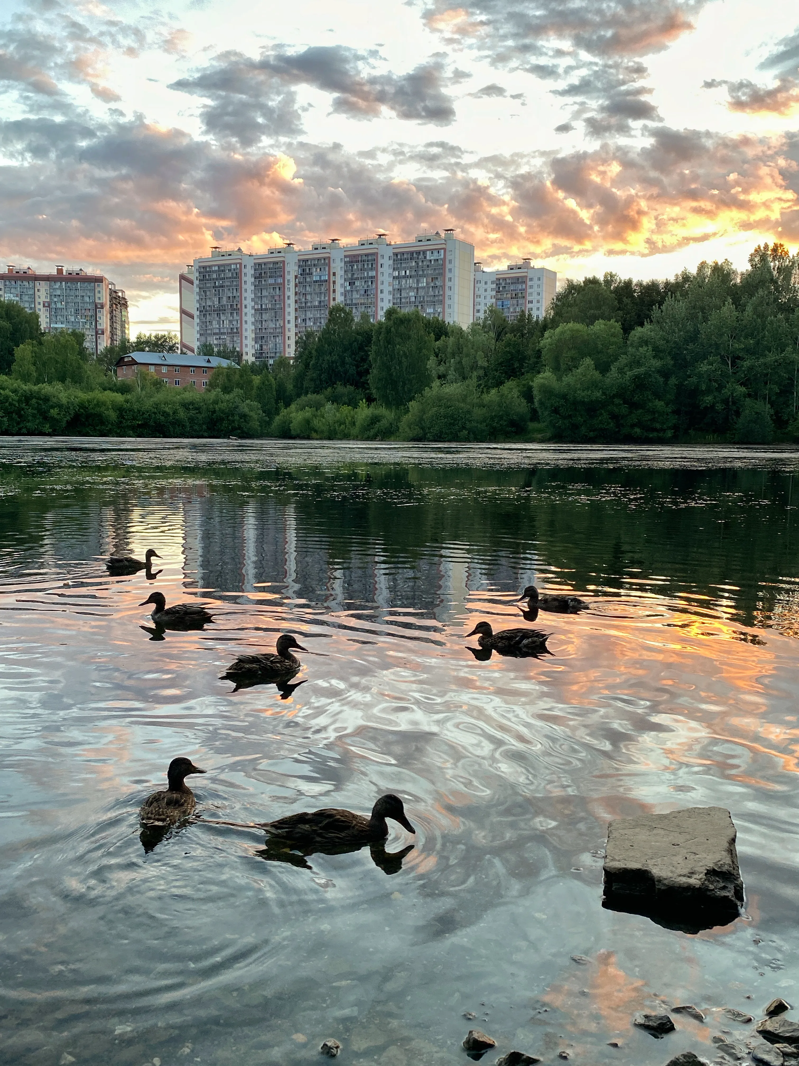Городской пруд
