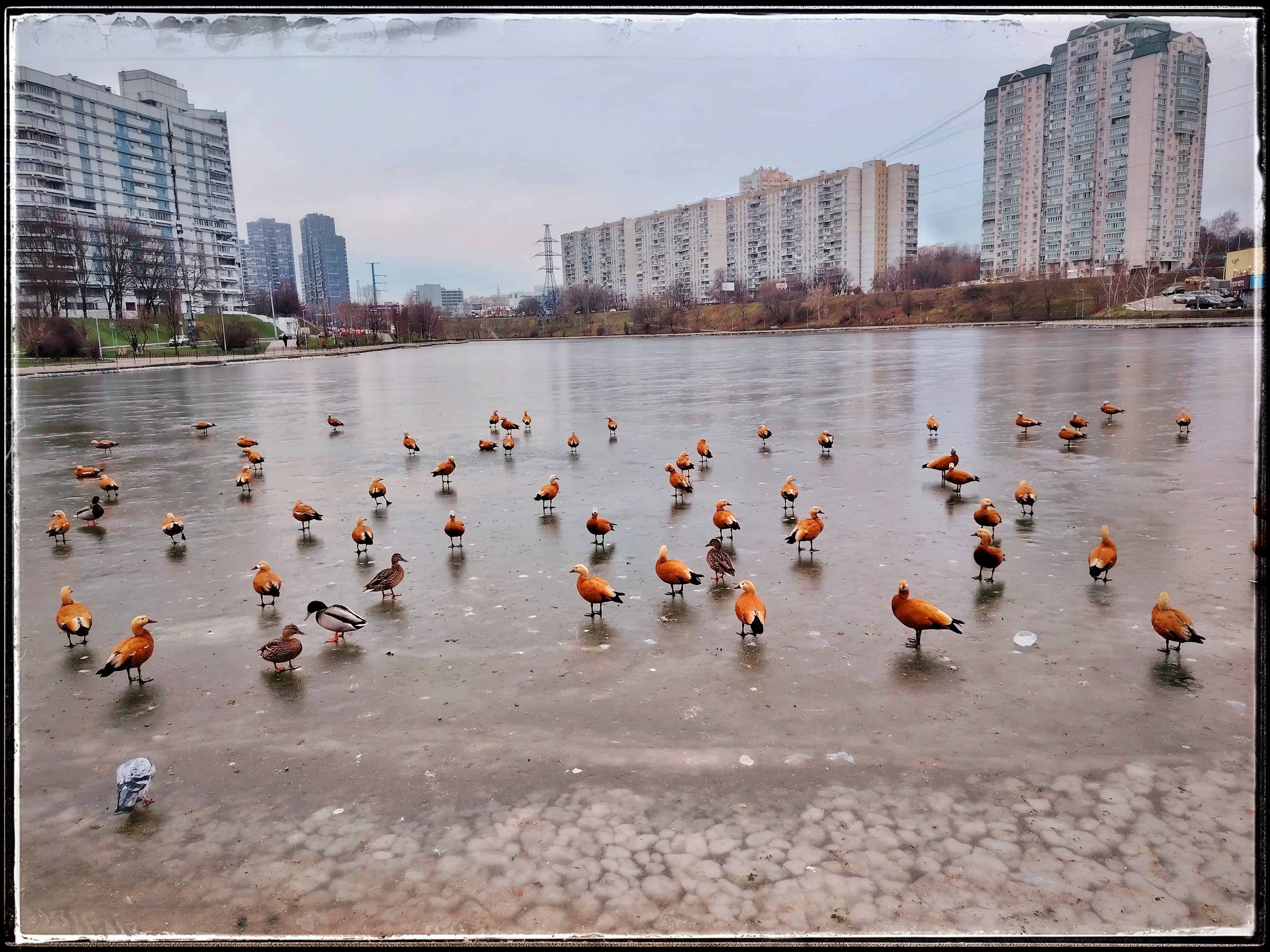 Огариное озеро