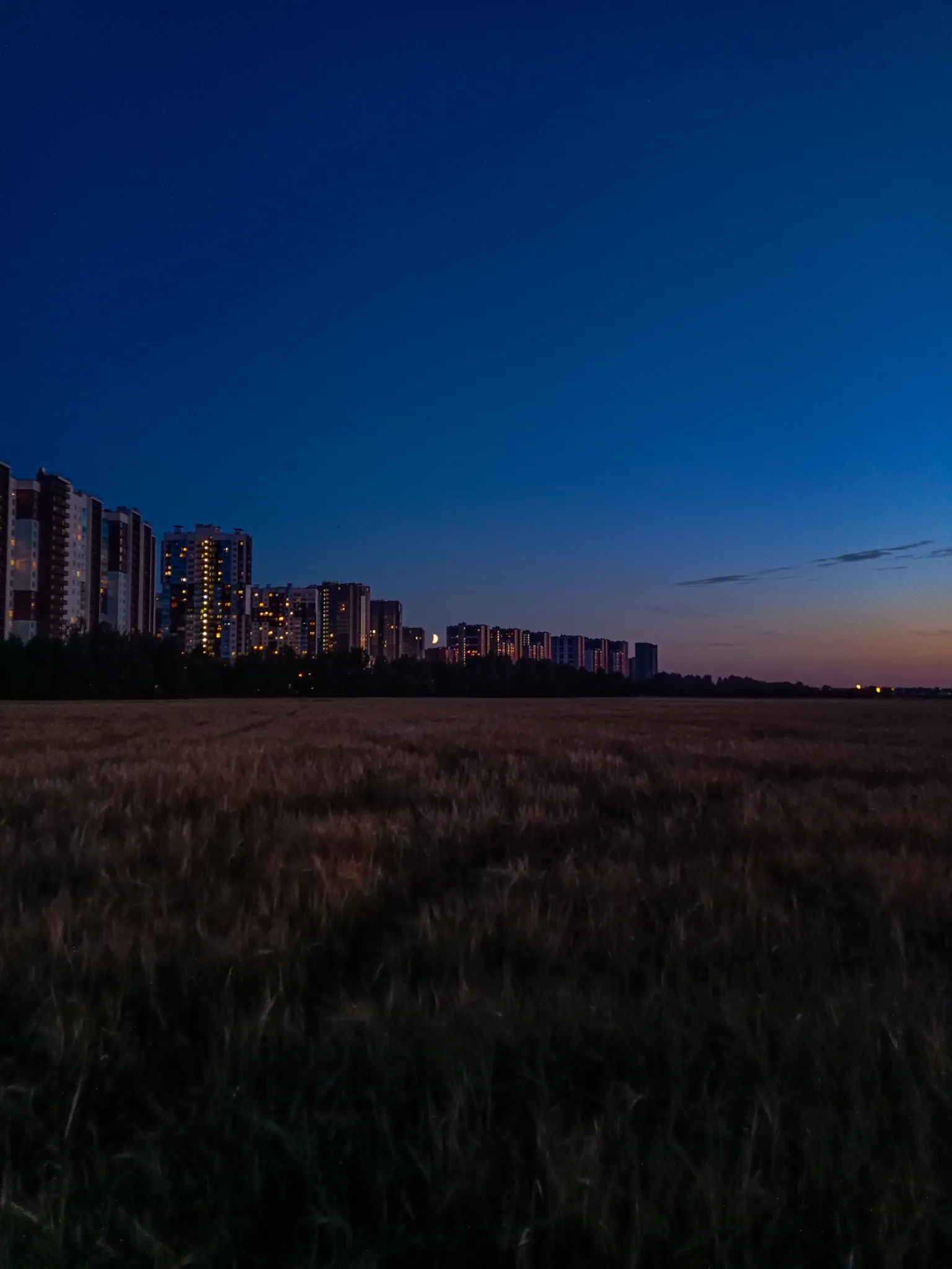 лунная ночь