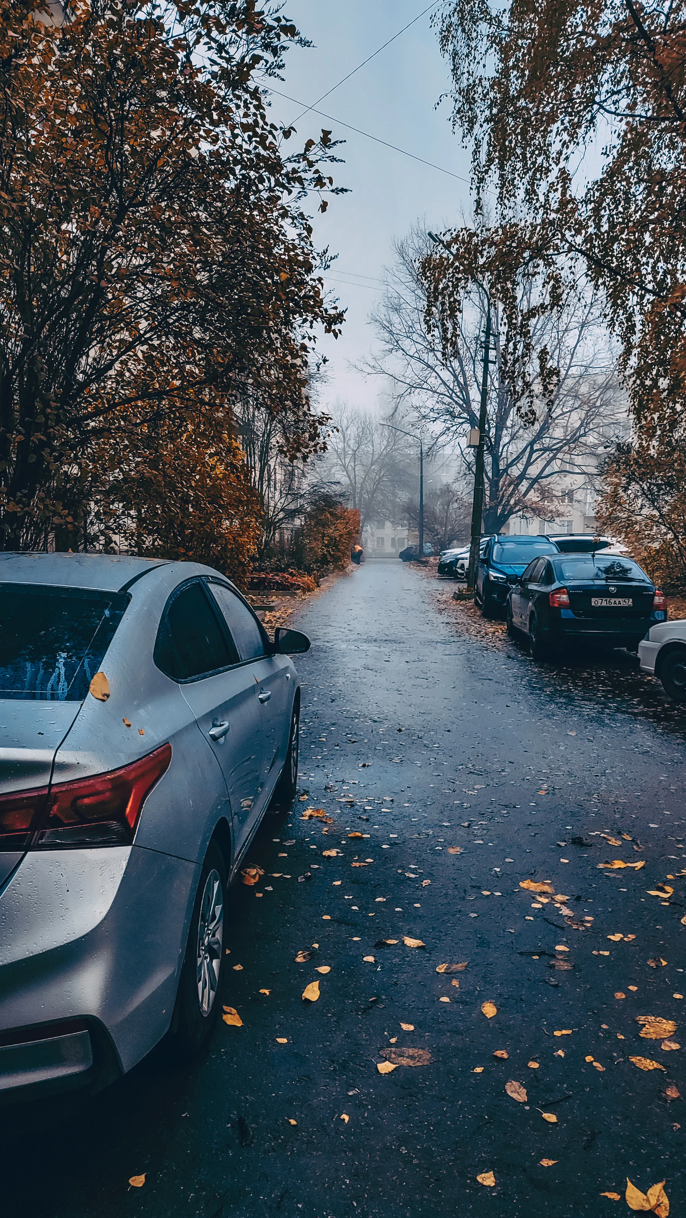 Осень на улице города