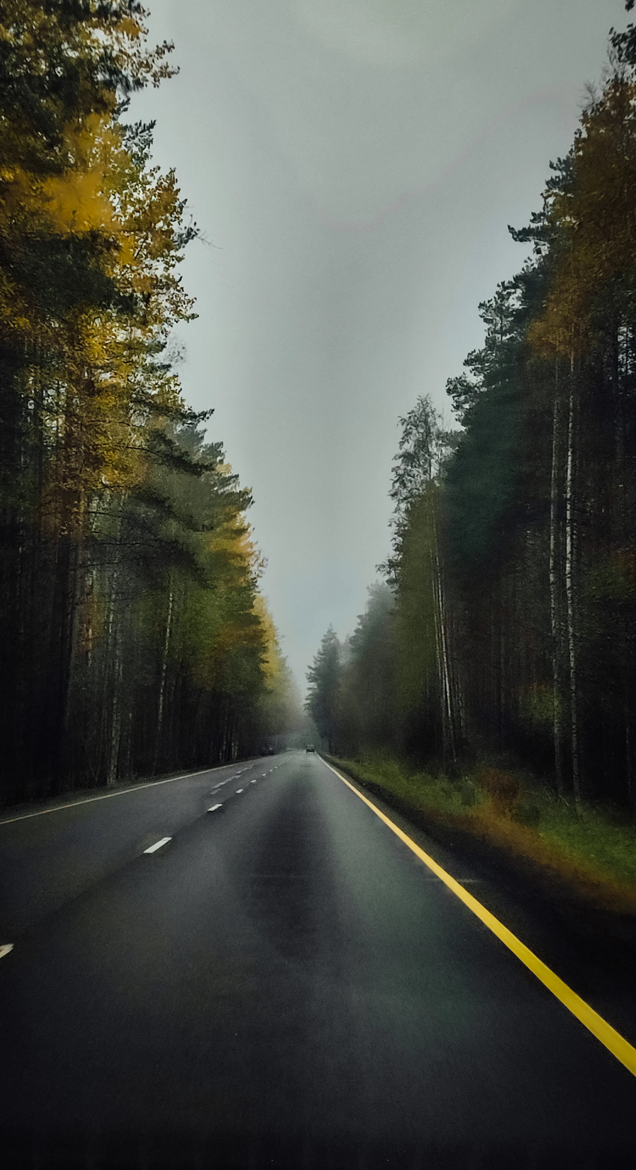 Дорого