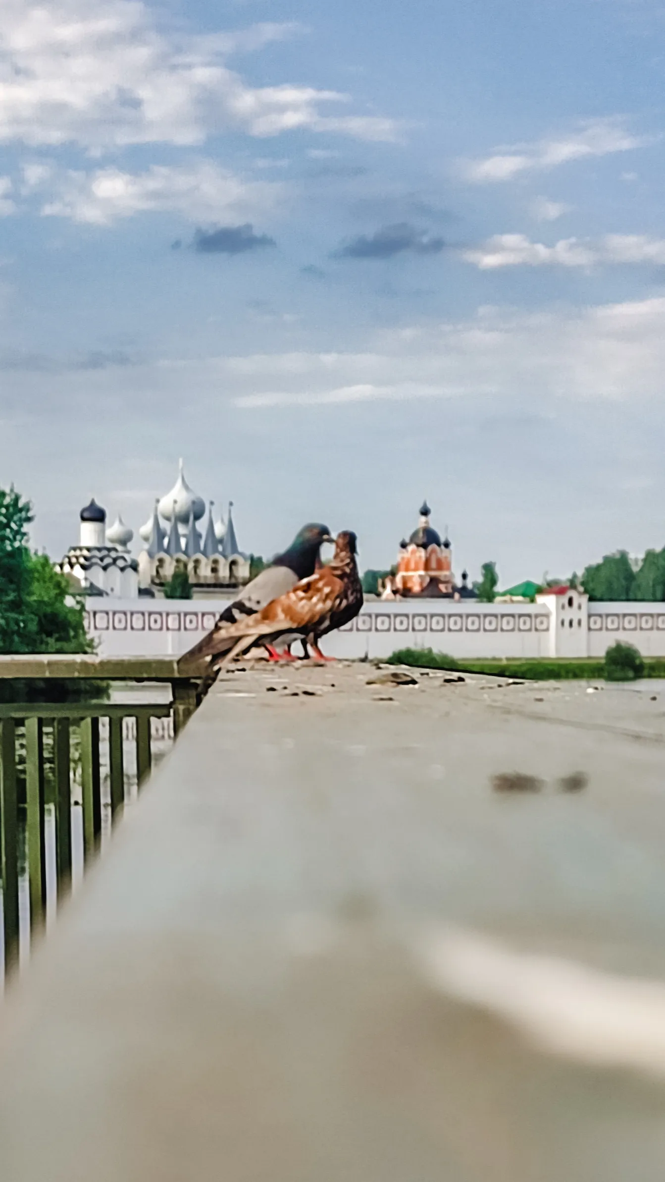 Голубки