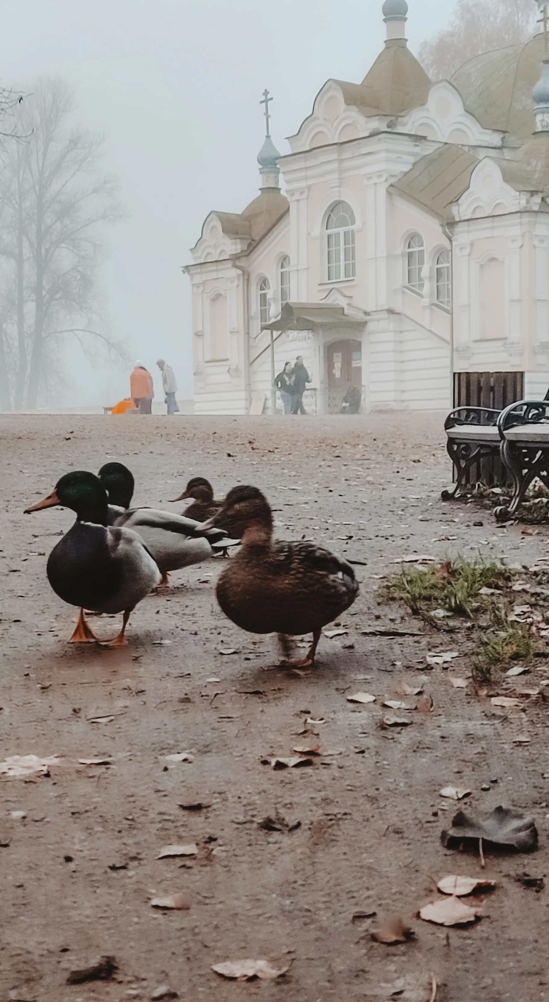 Мгнование