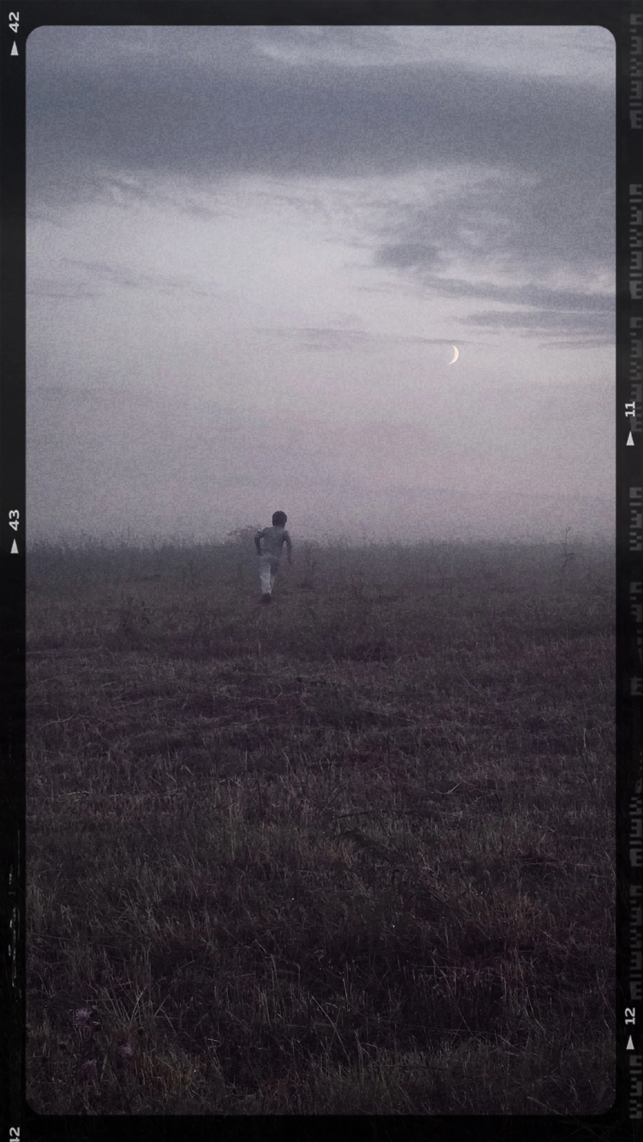 В тумане