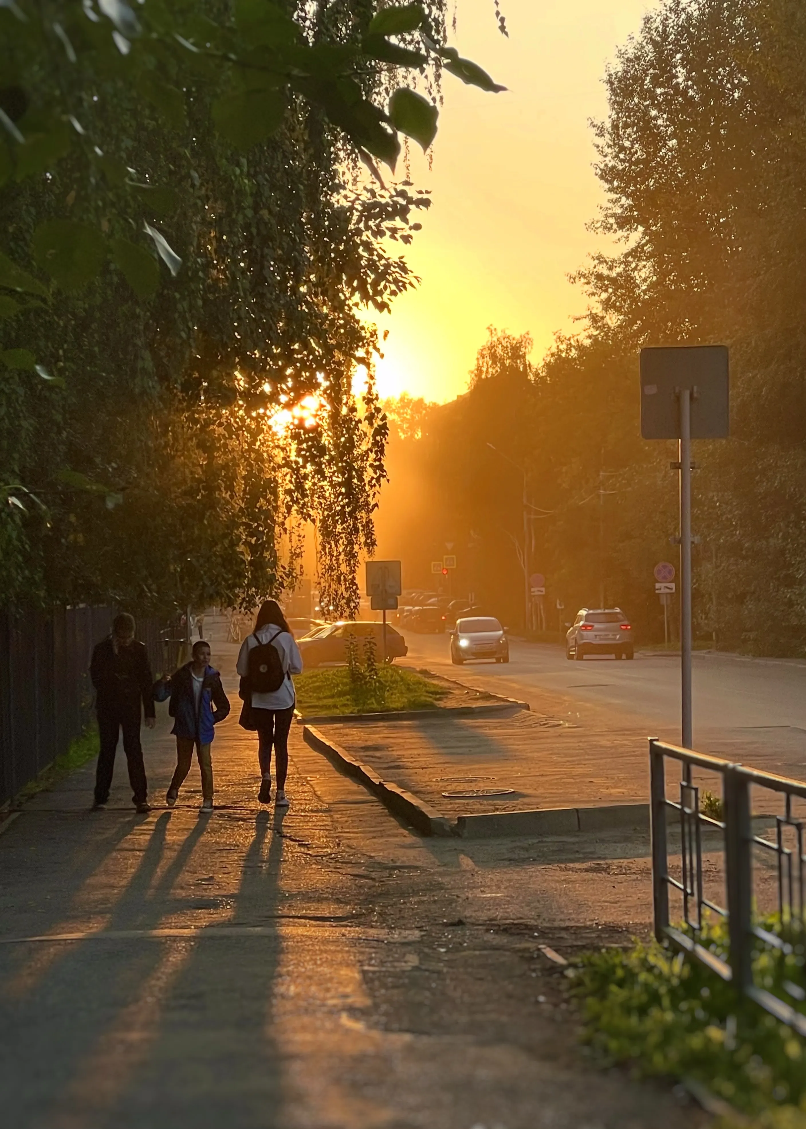 Жизнь в кадре