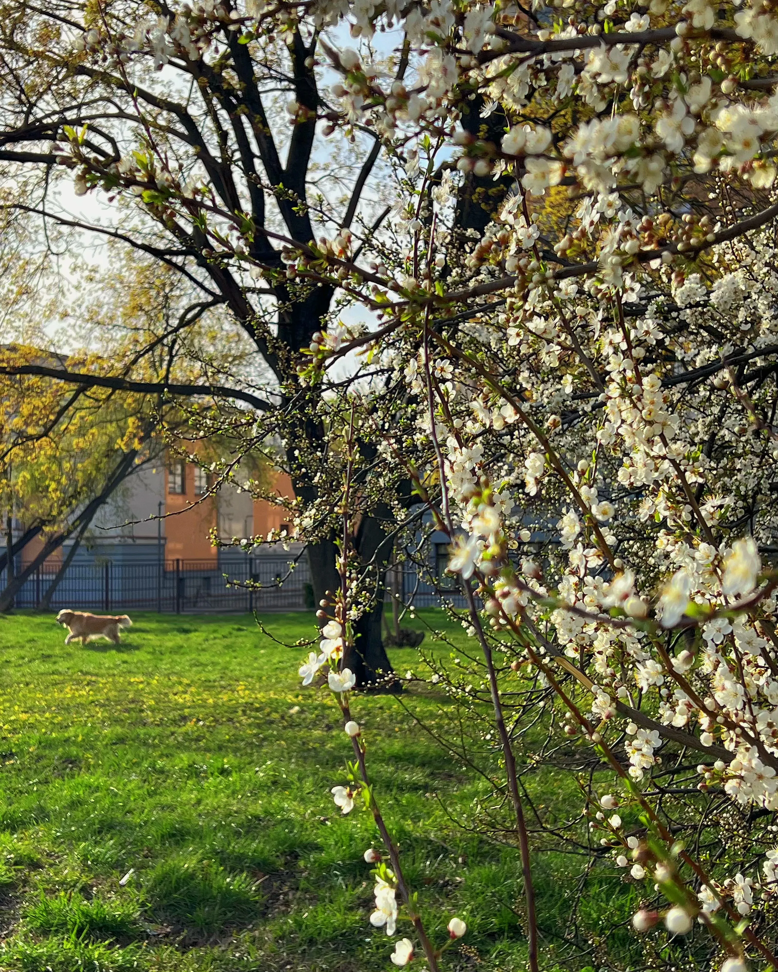 весеннее море