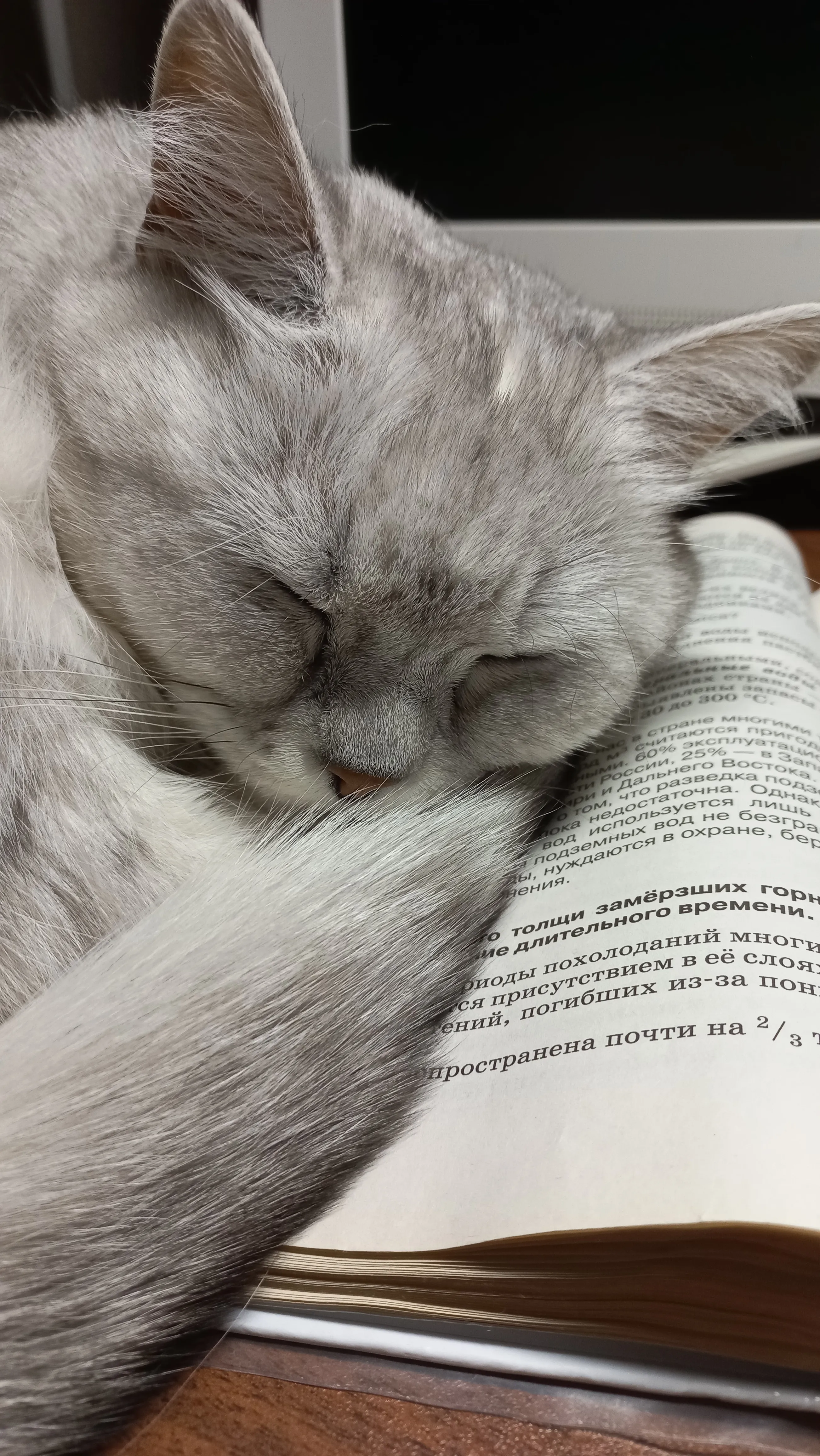 Маркиза за уроками
