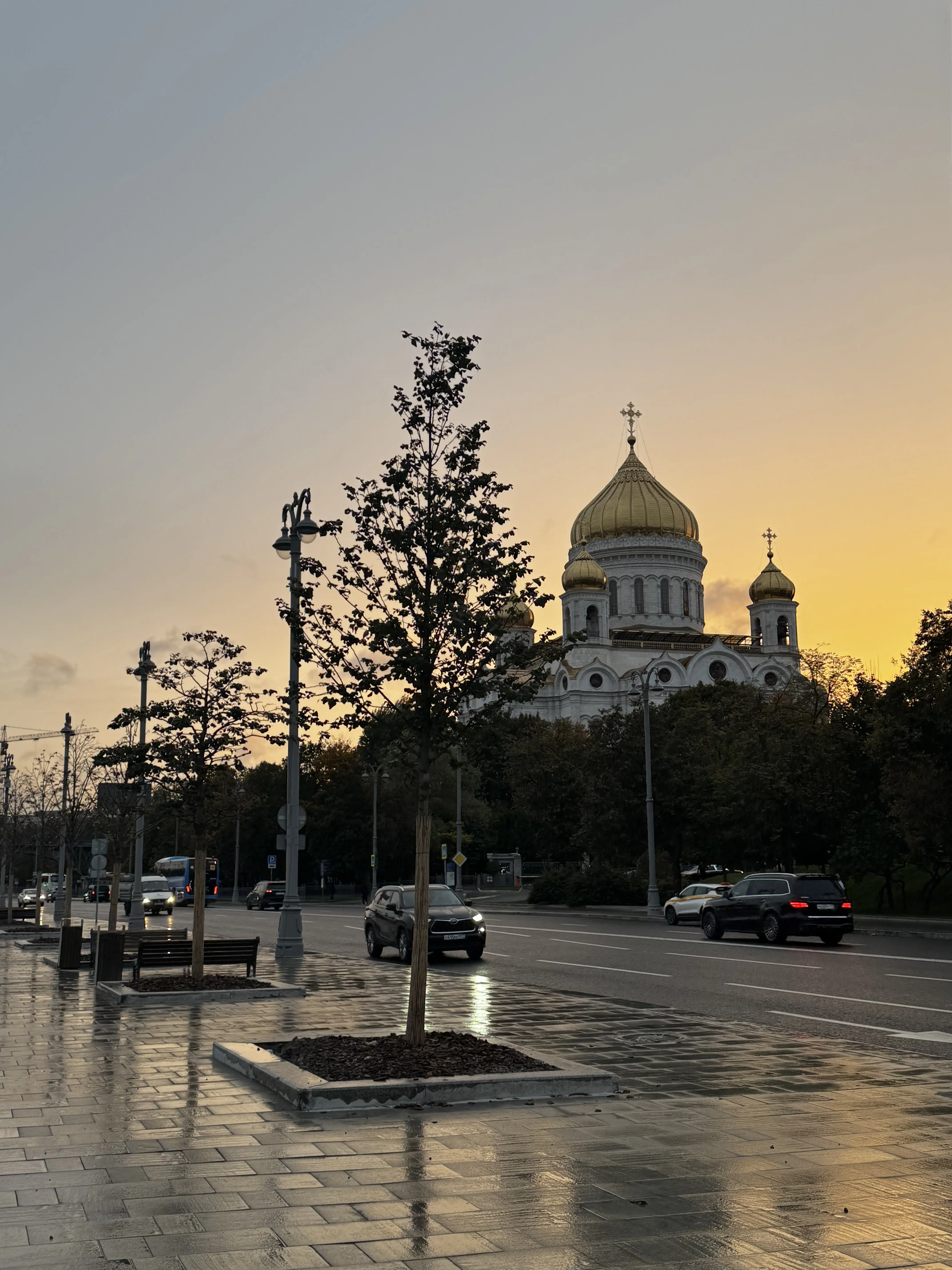 Вопреки прогнозу