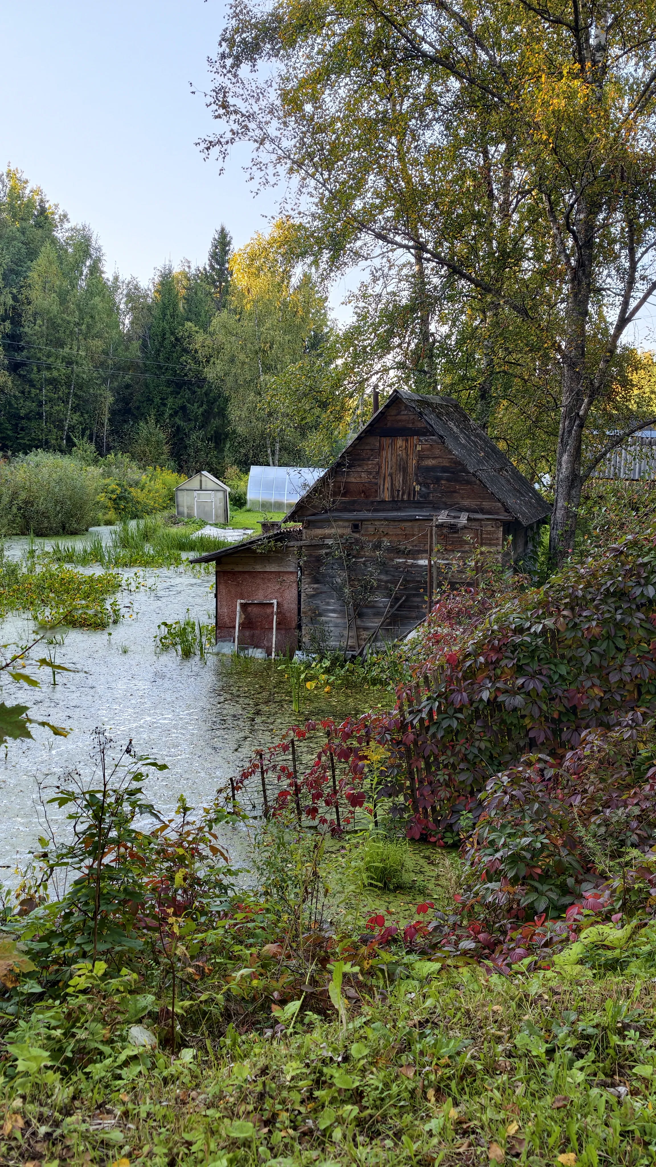 Водяной