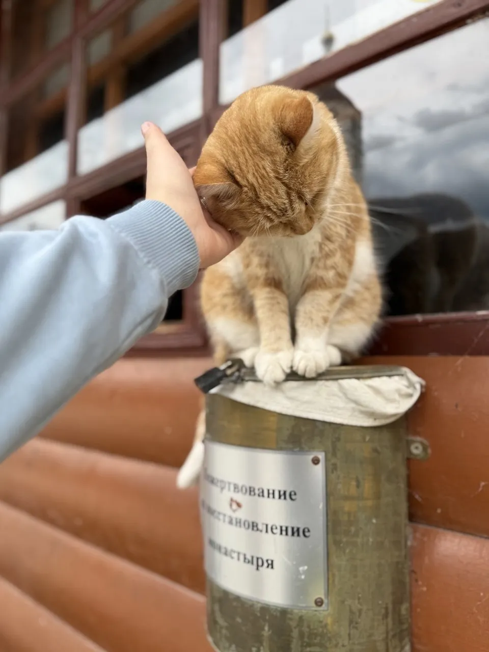 Ласка