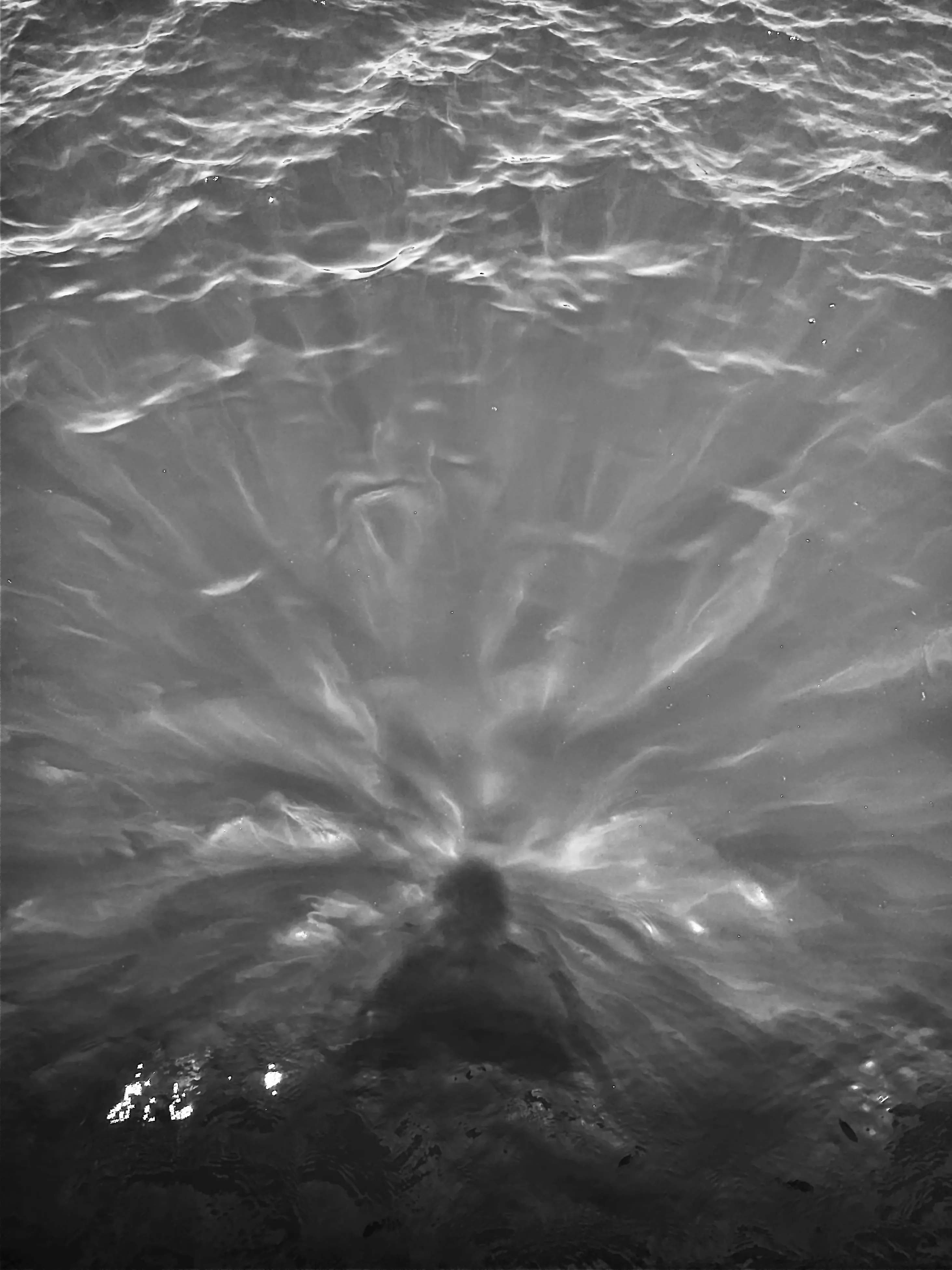 Откройся свету и сияй