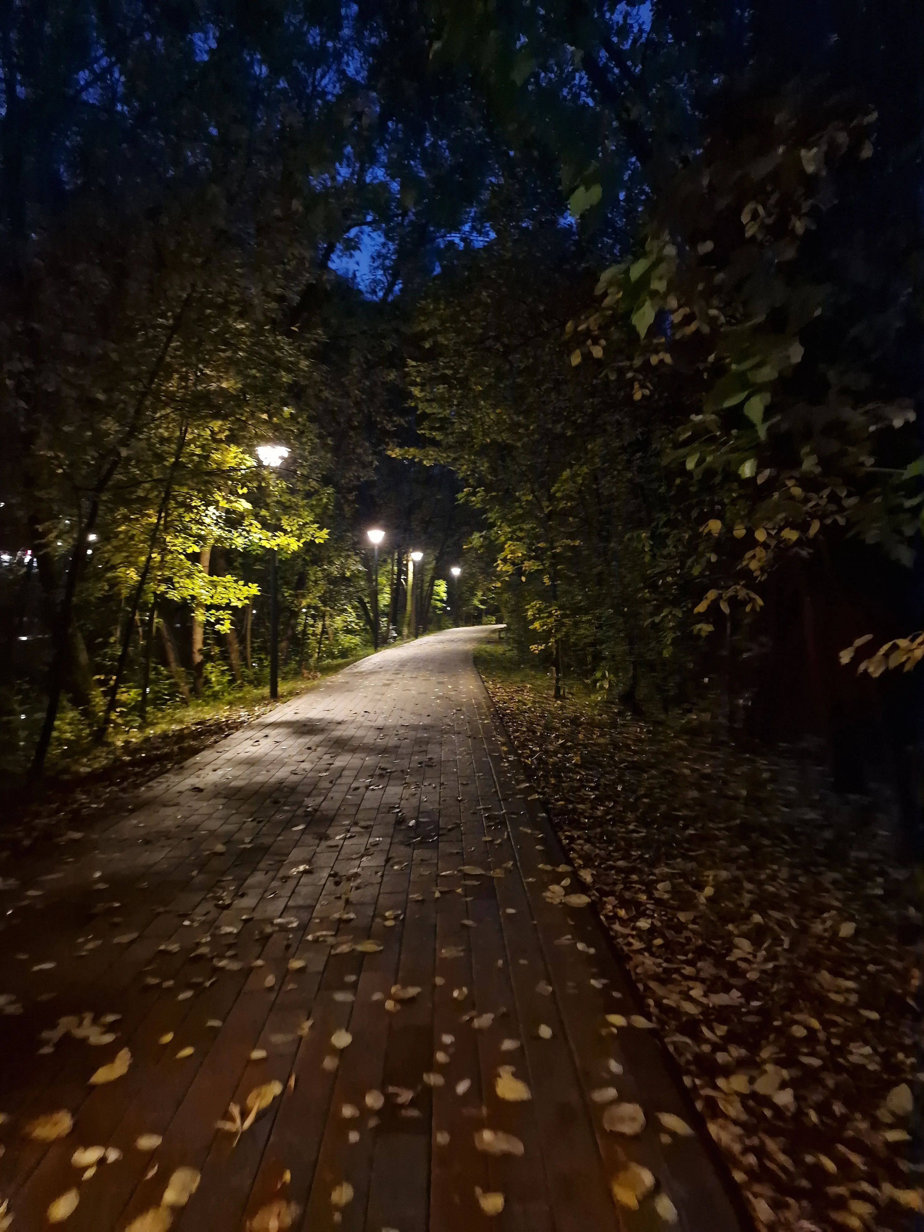 дорога в осень