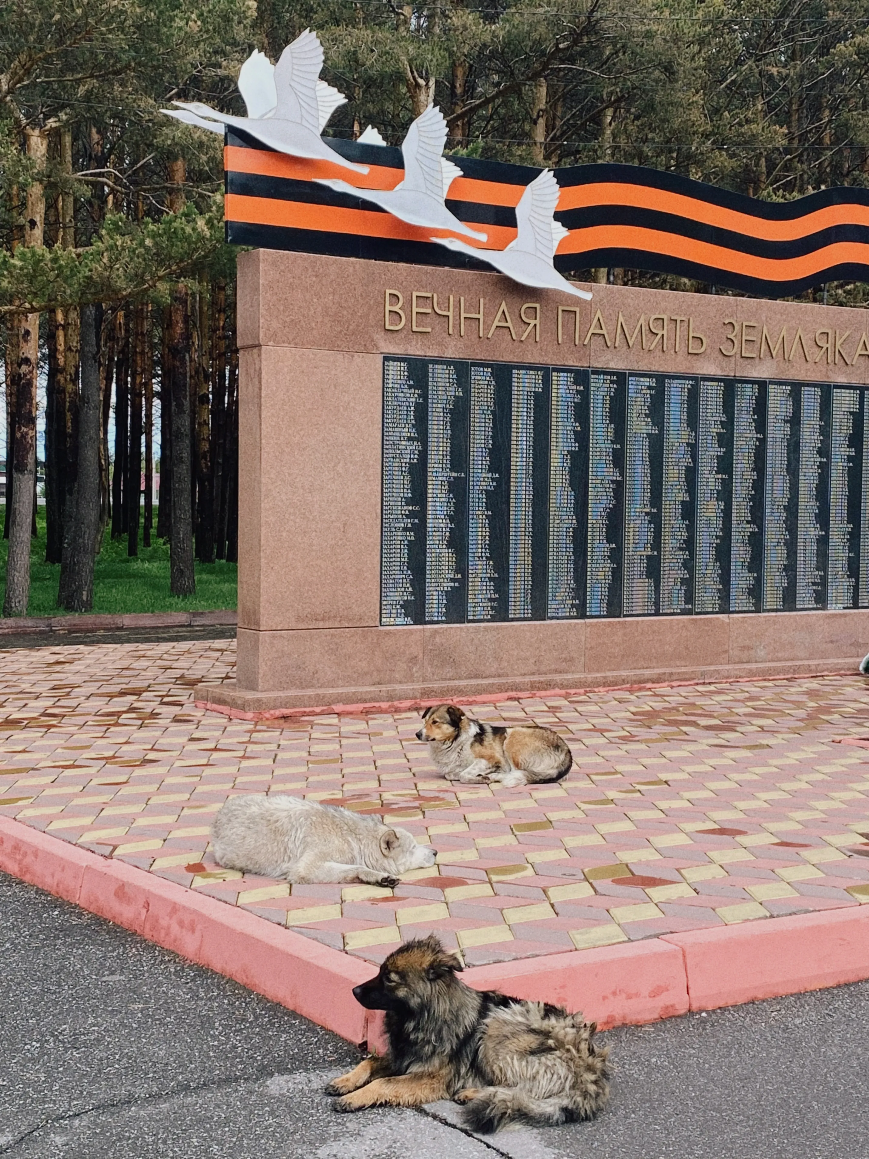 Парковая жизнь