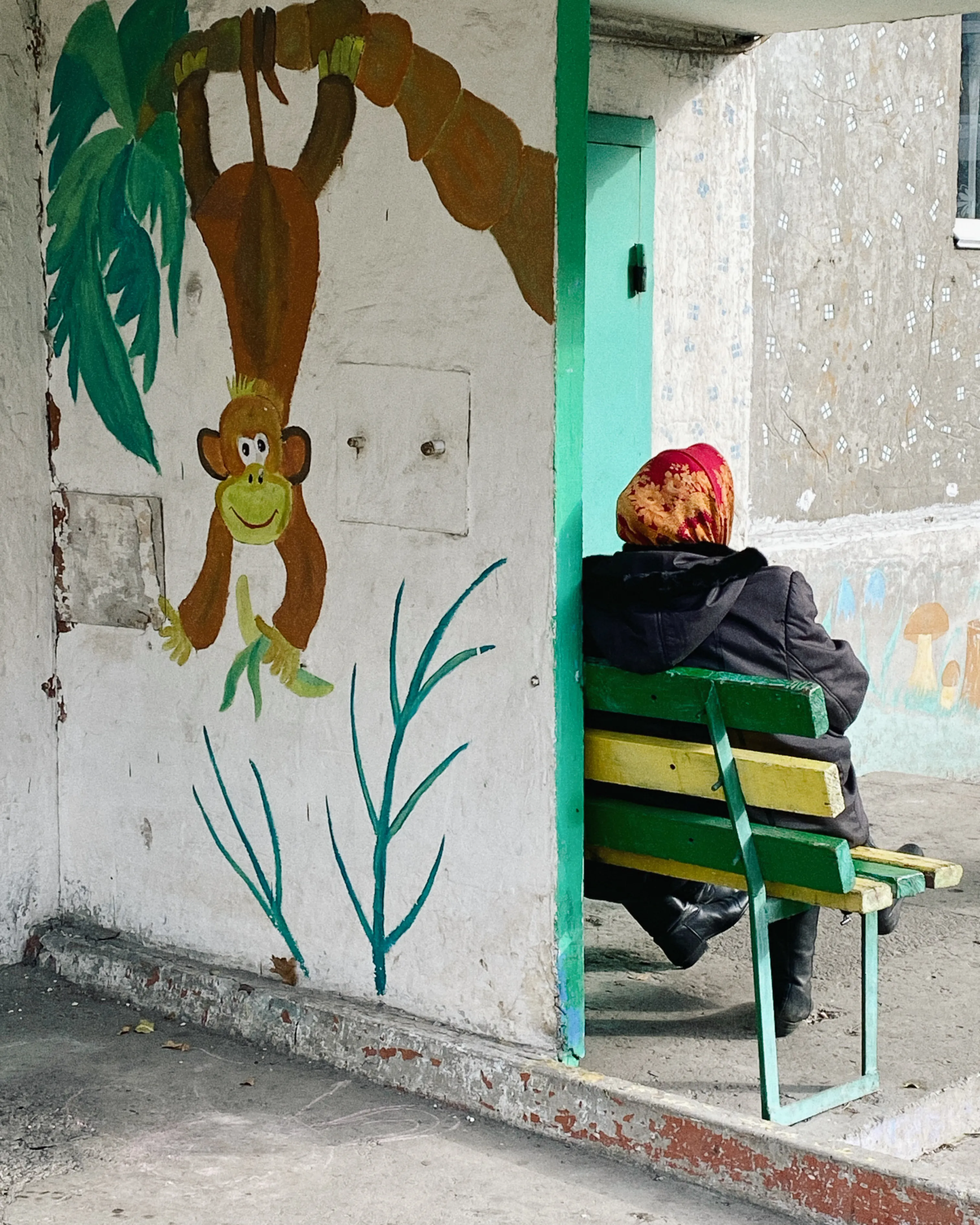 Панельные джунгли