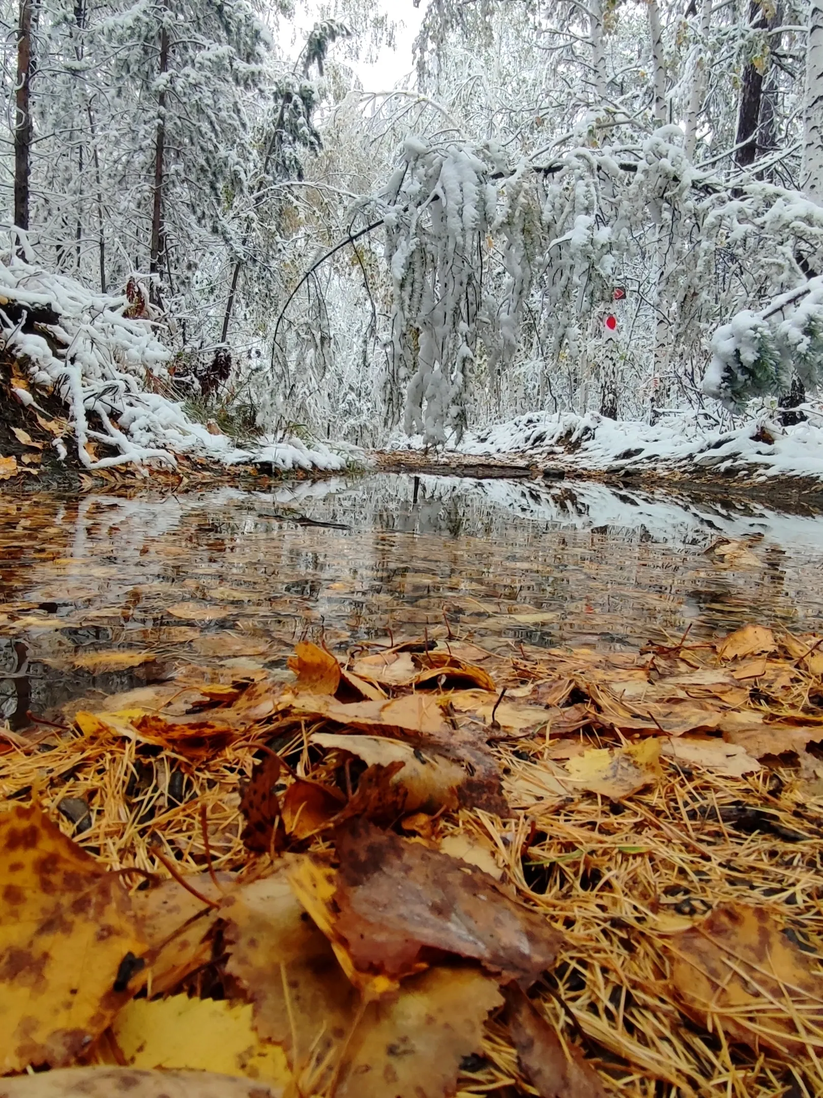 Встреча Осени с Зимой