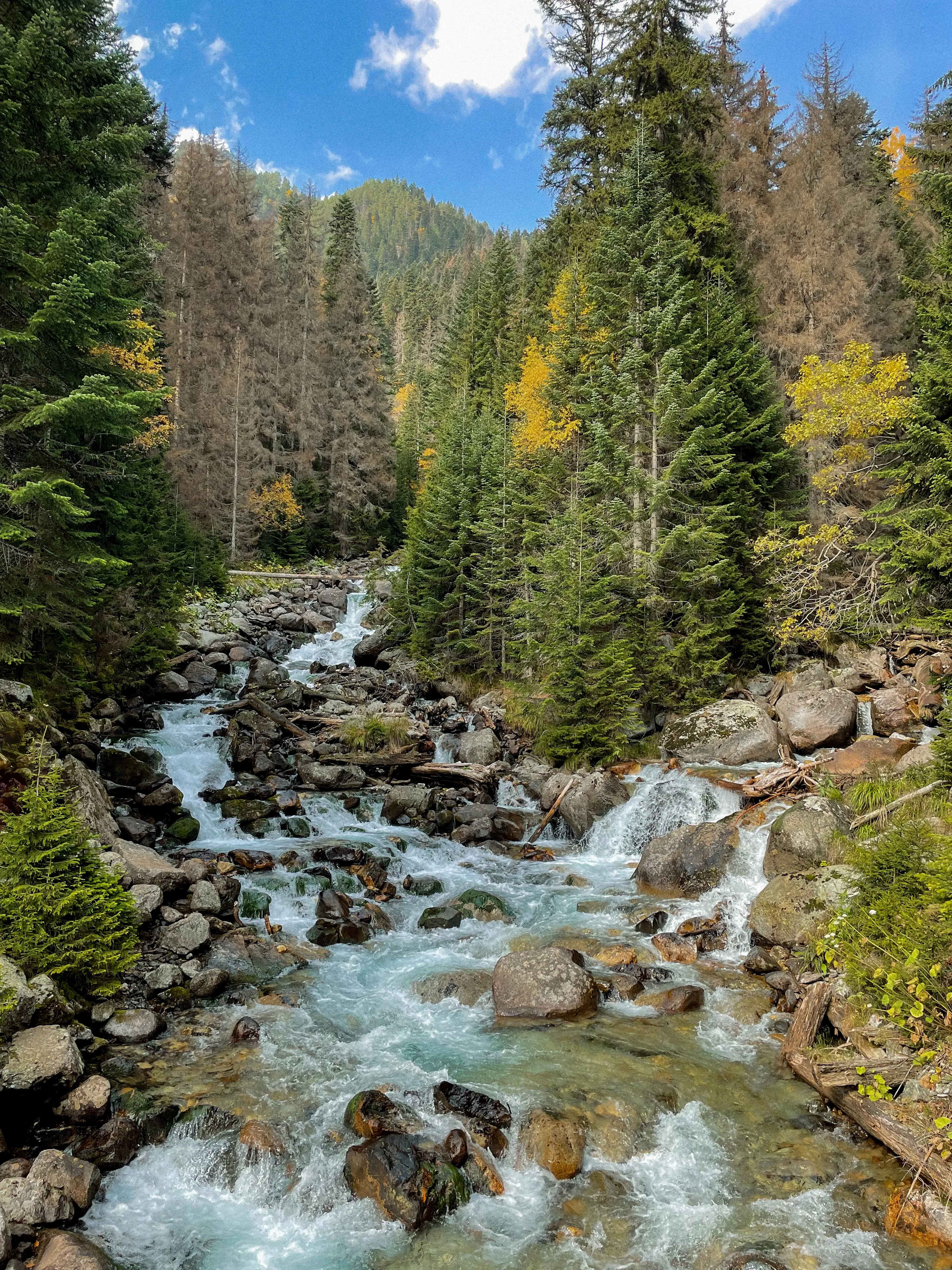 Поток