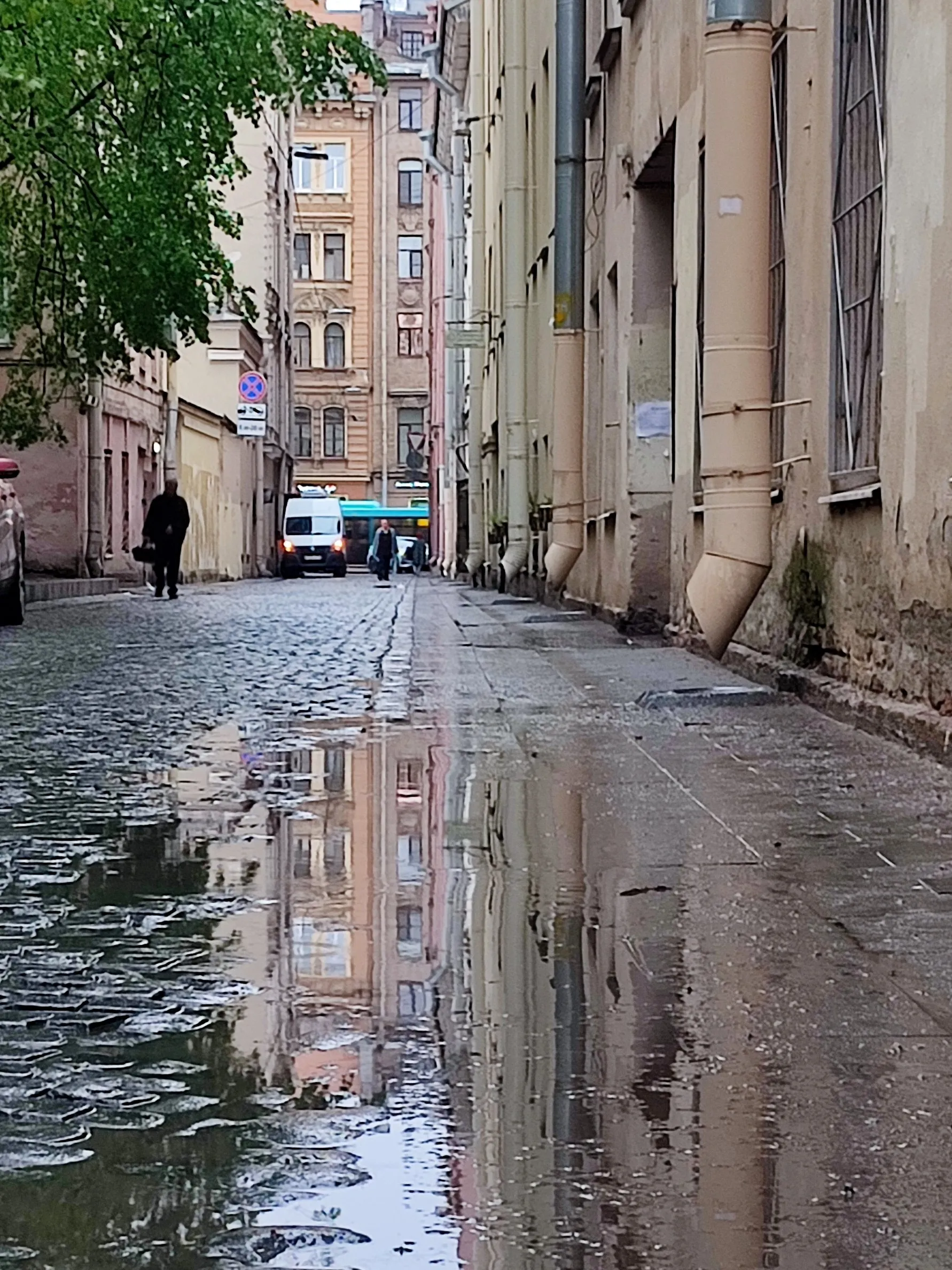Питер после дождя