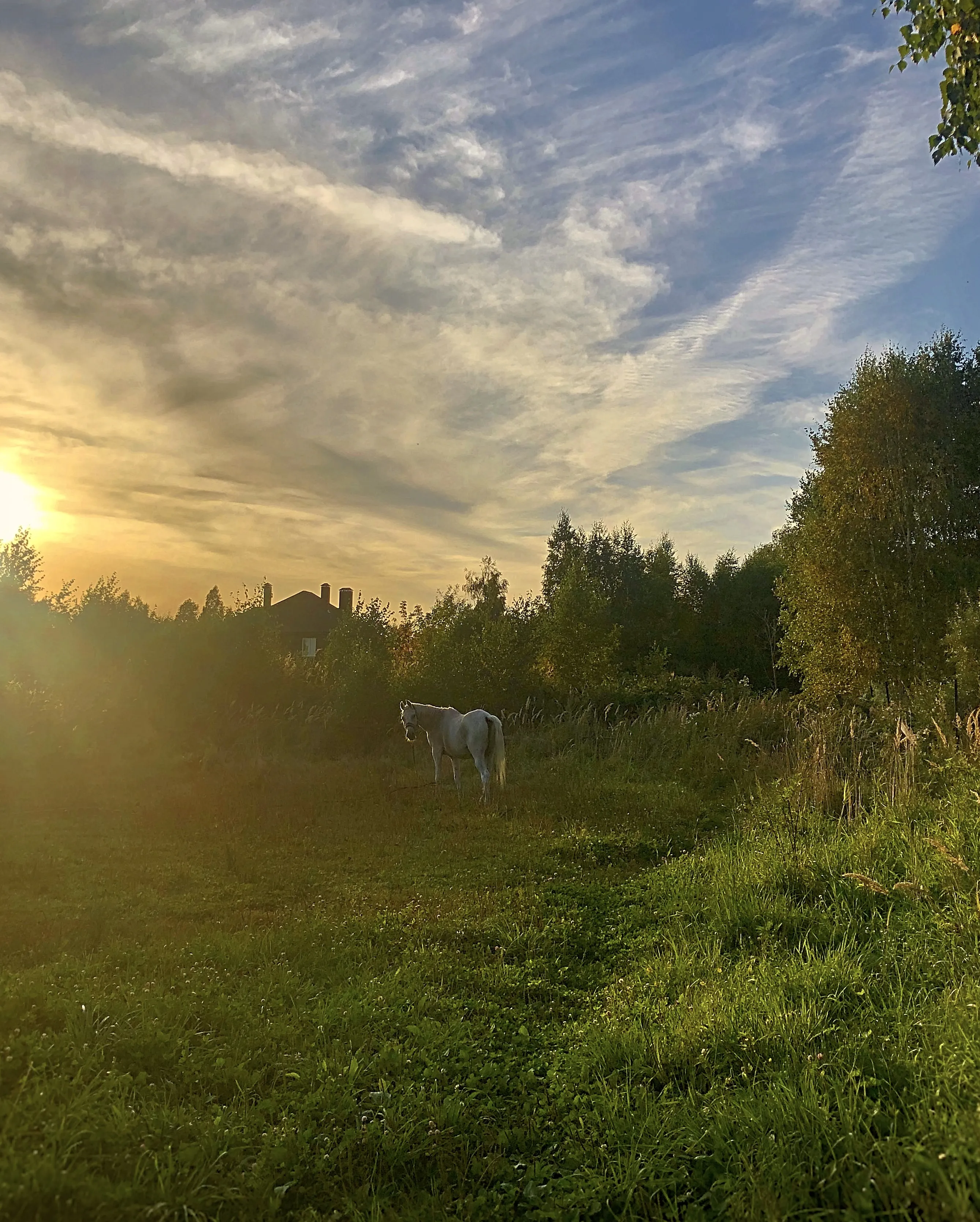 В лучах тишины