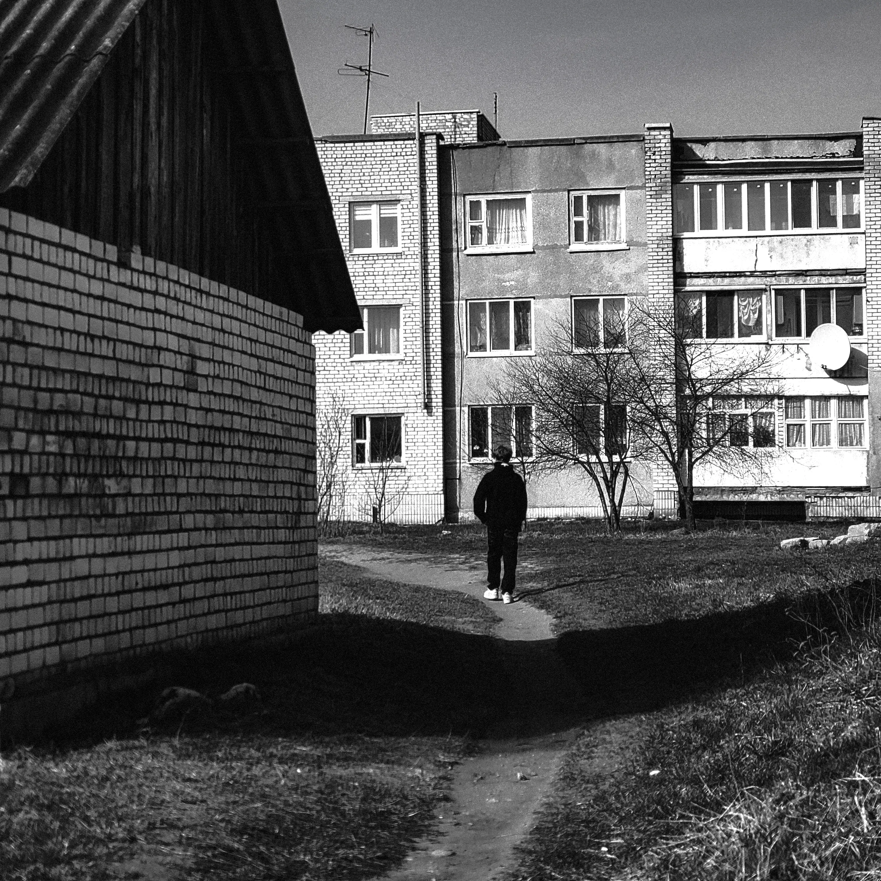 Дорога домой