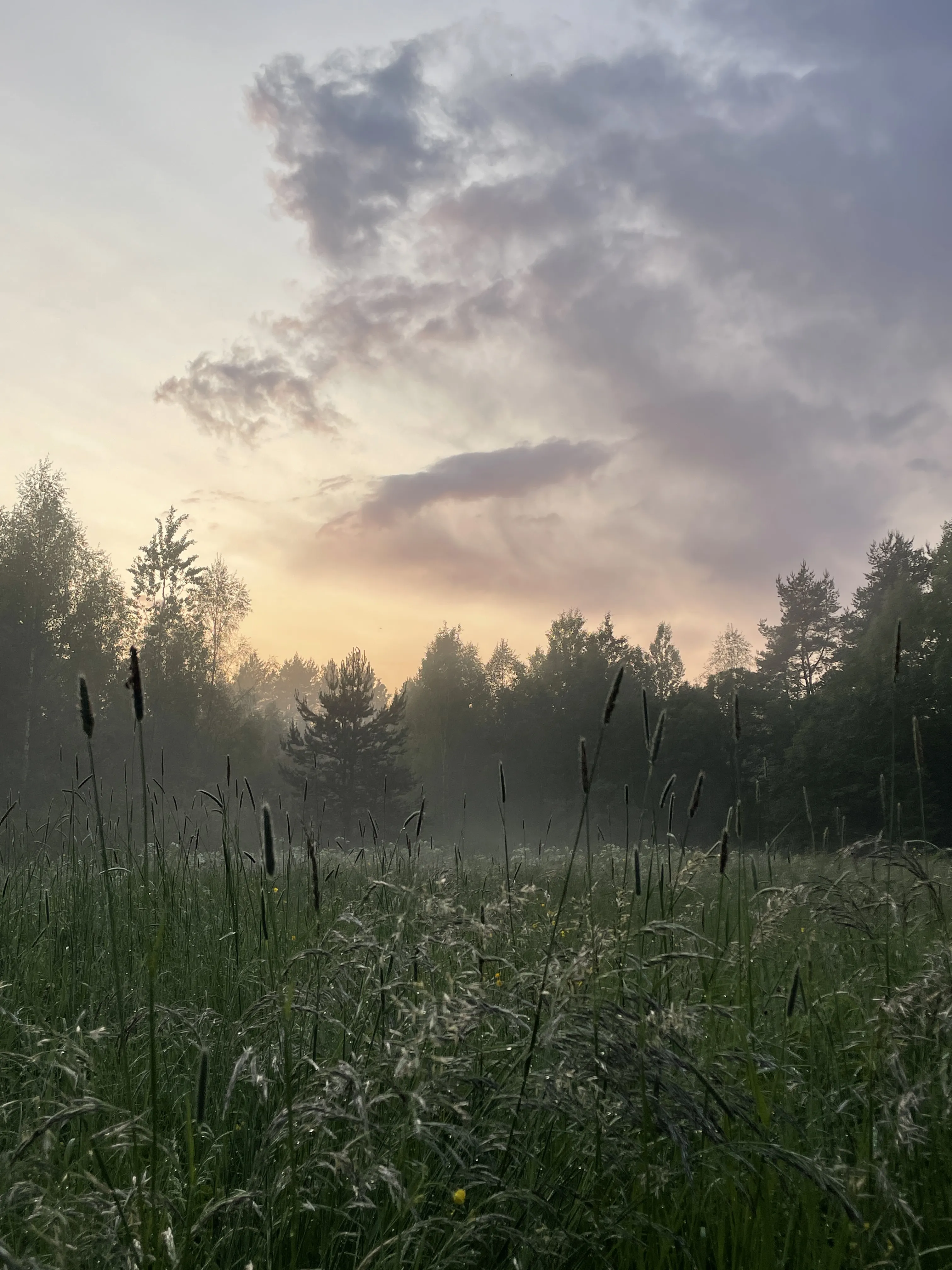 Закат после дождя