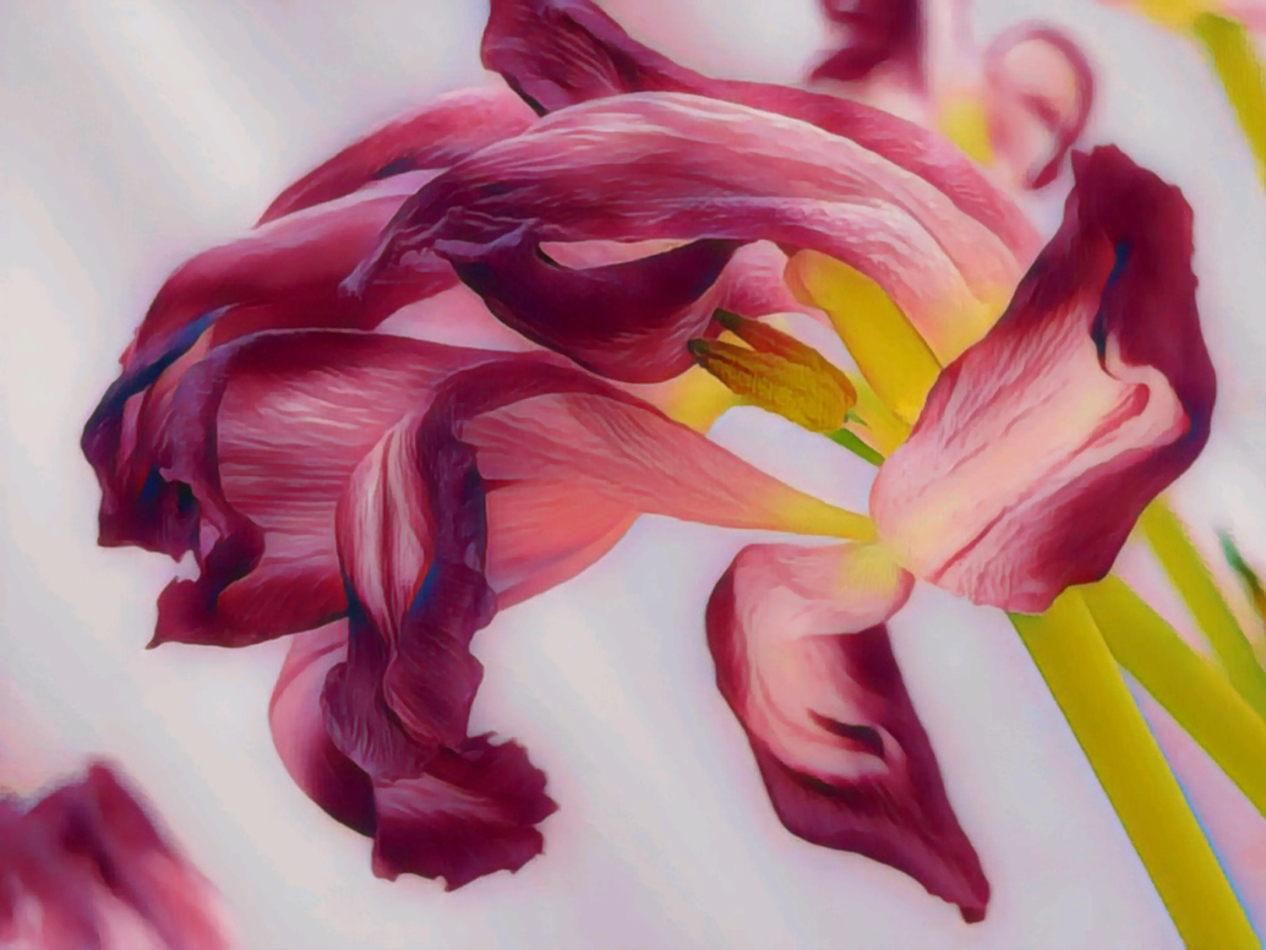 ILL Flower