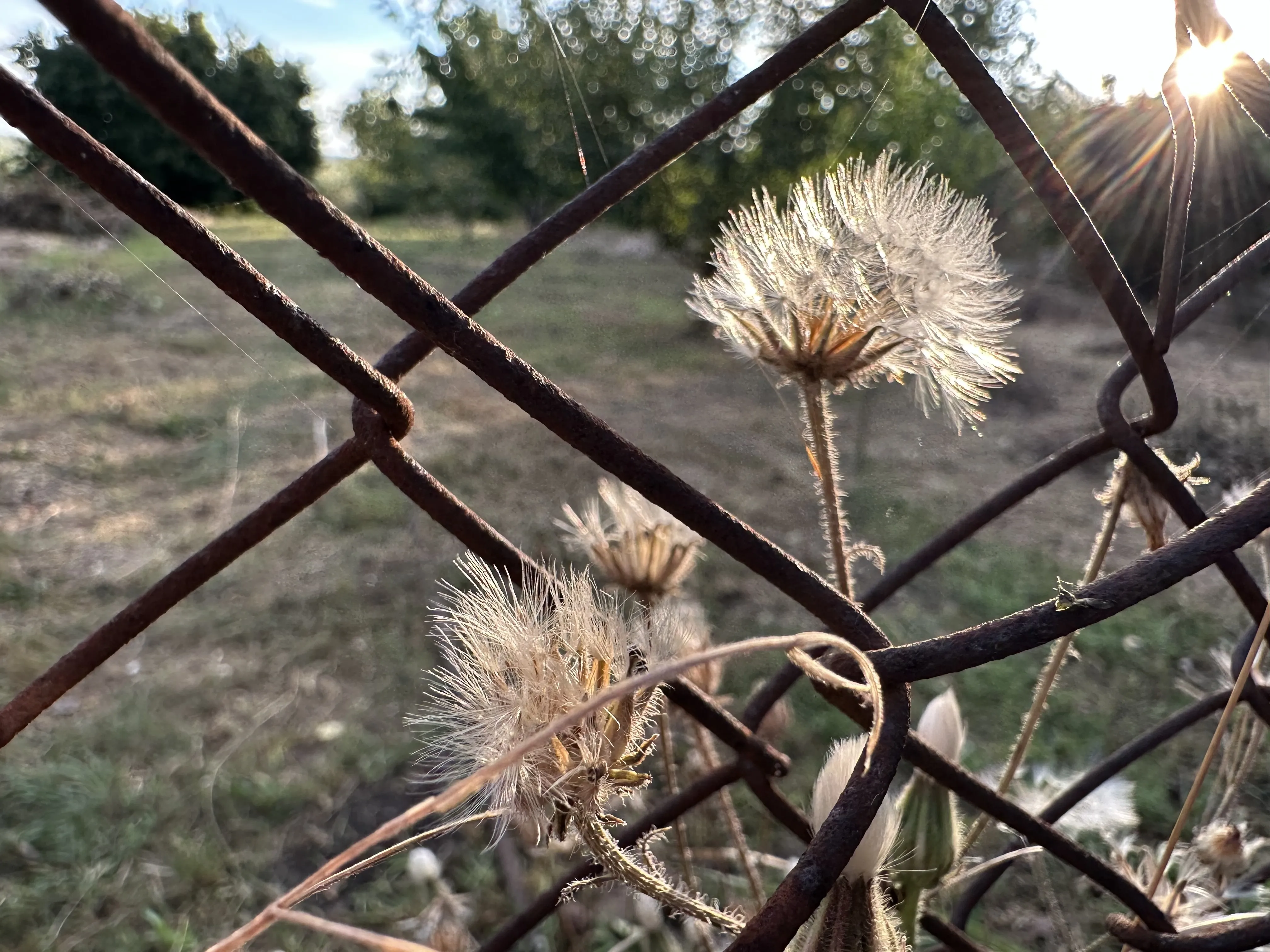 Улетаю