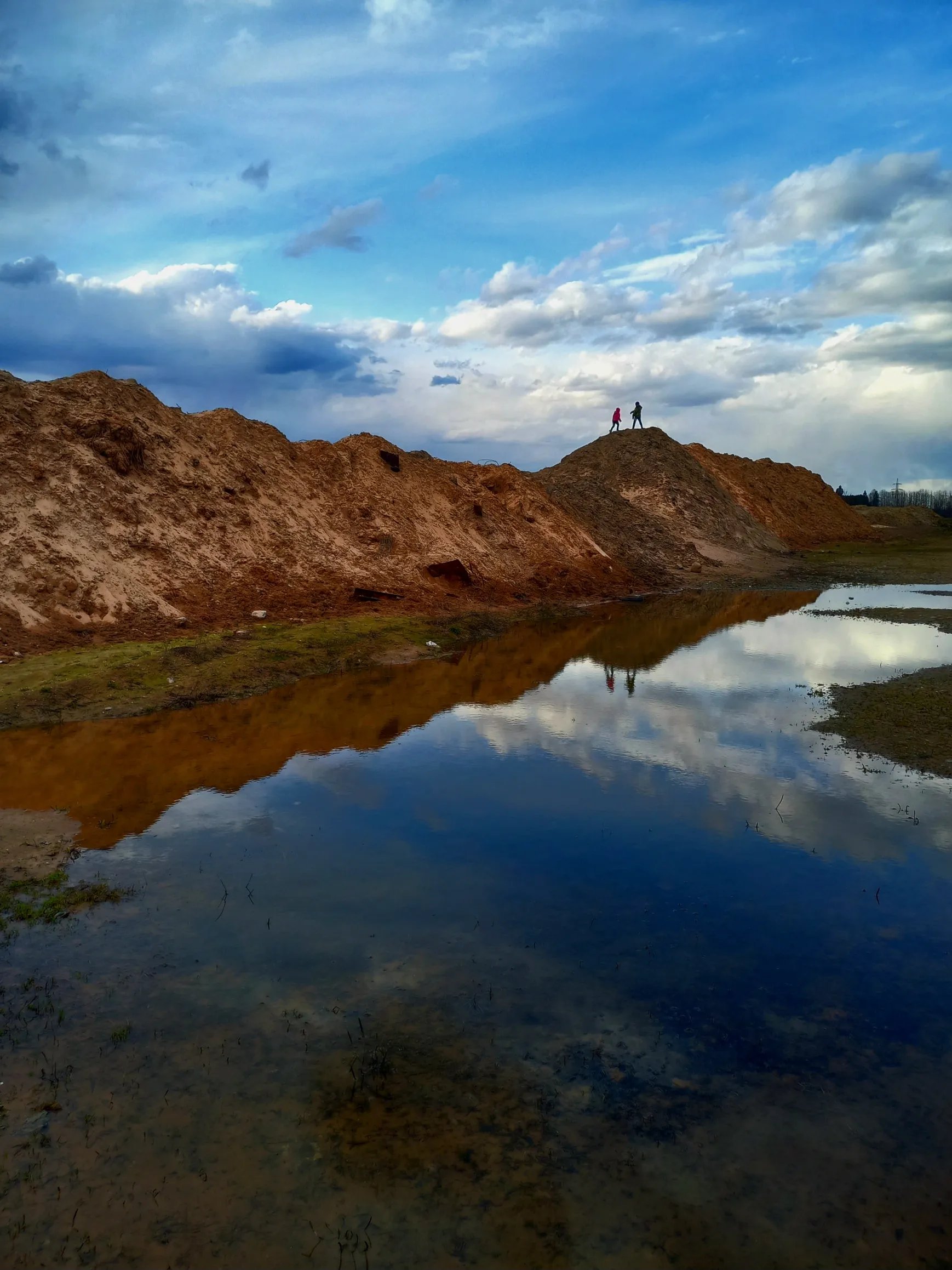 Живописная лужа