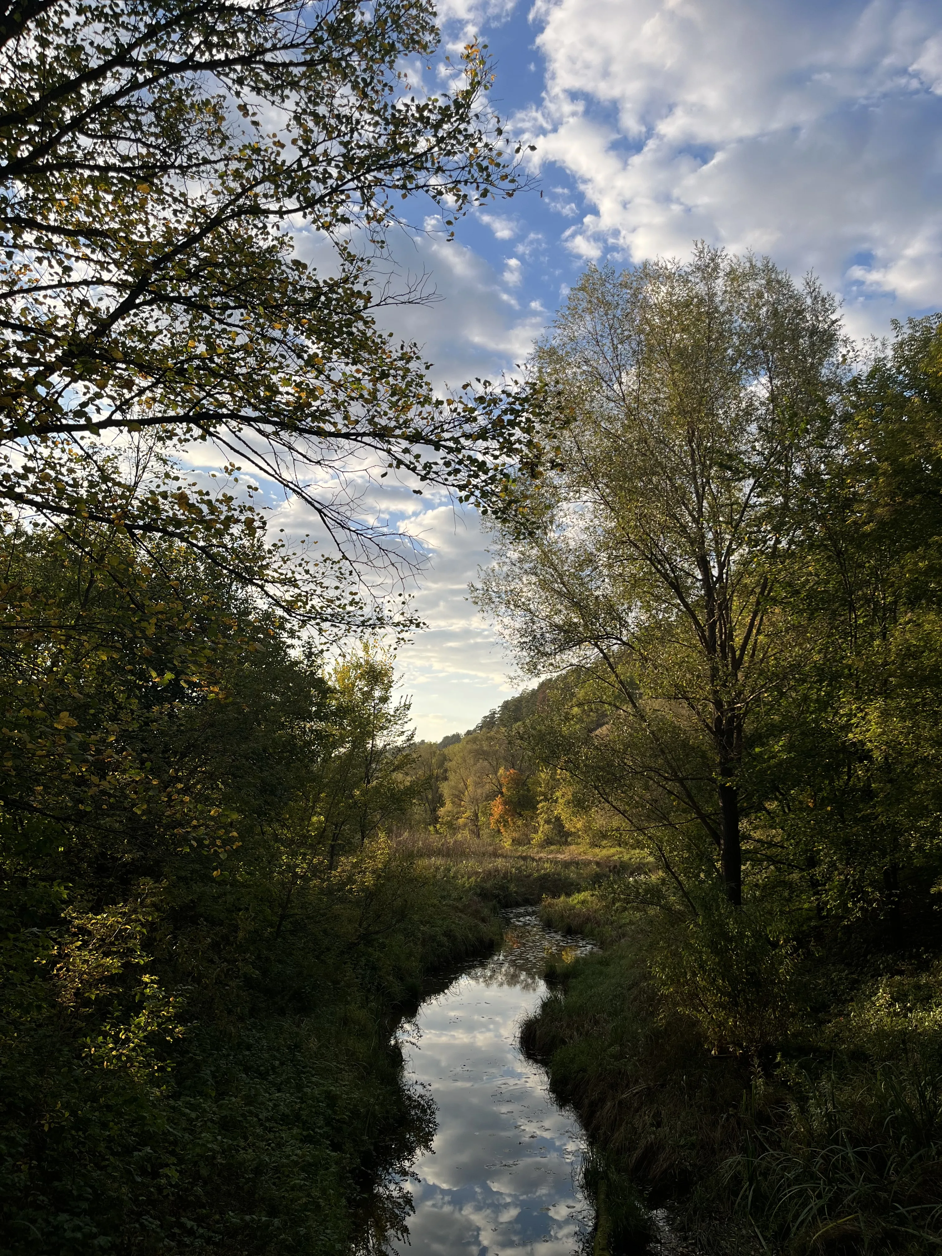 Осень