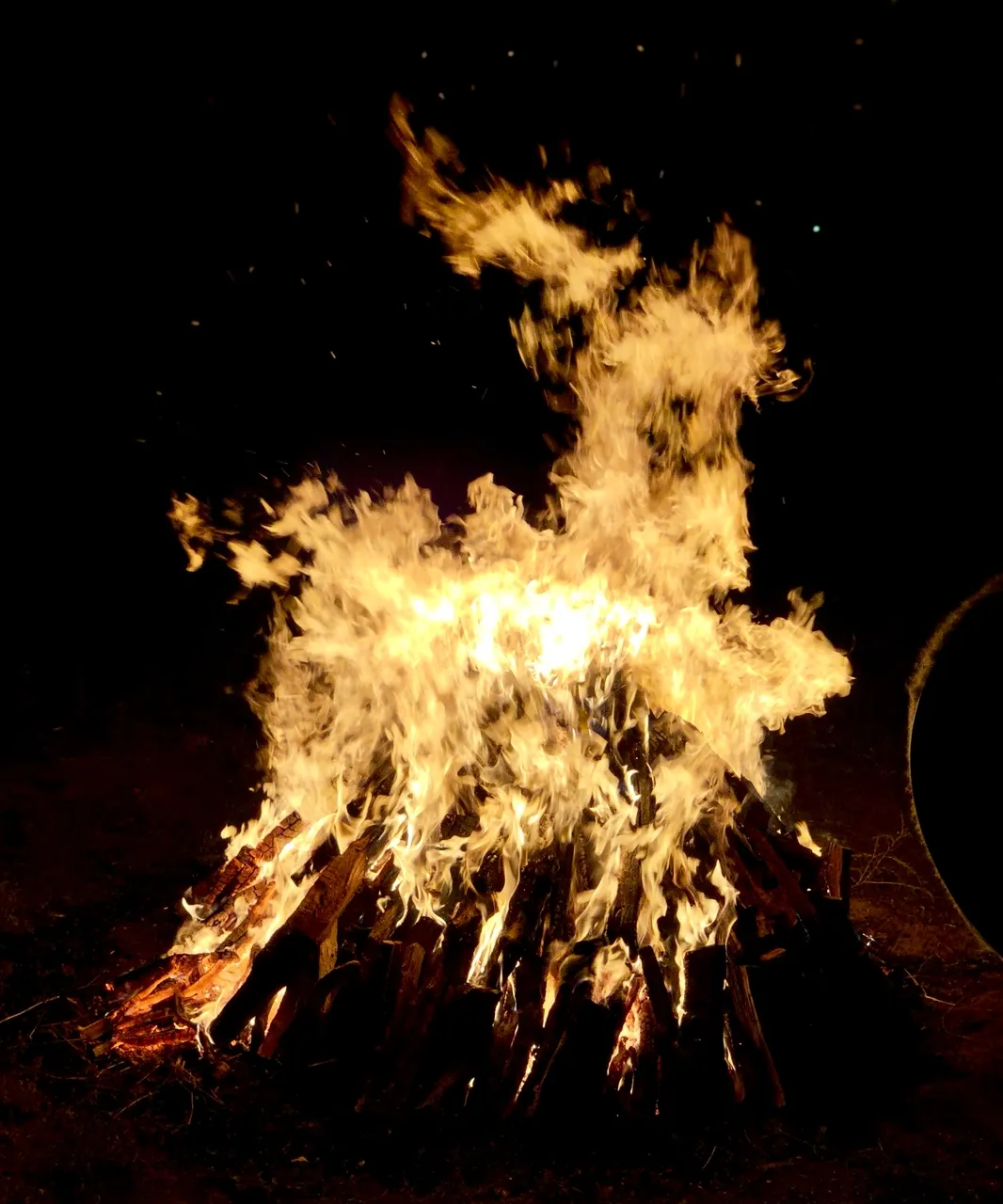 Огненный олень