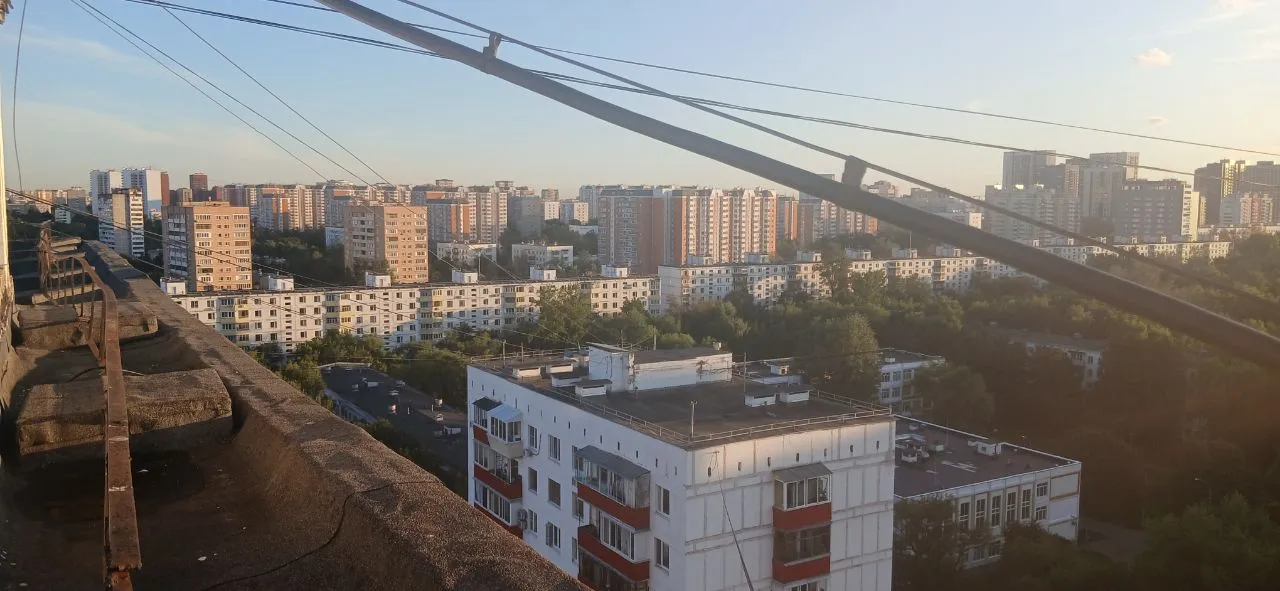 Городской муравейник