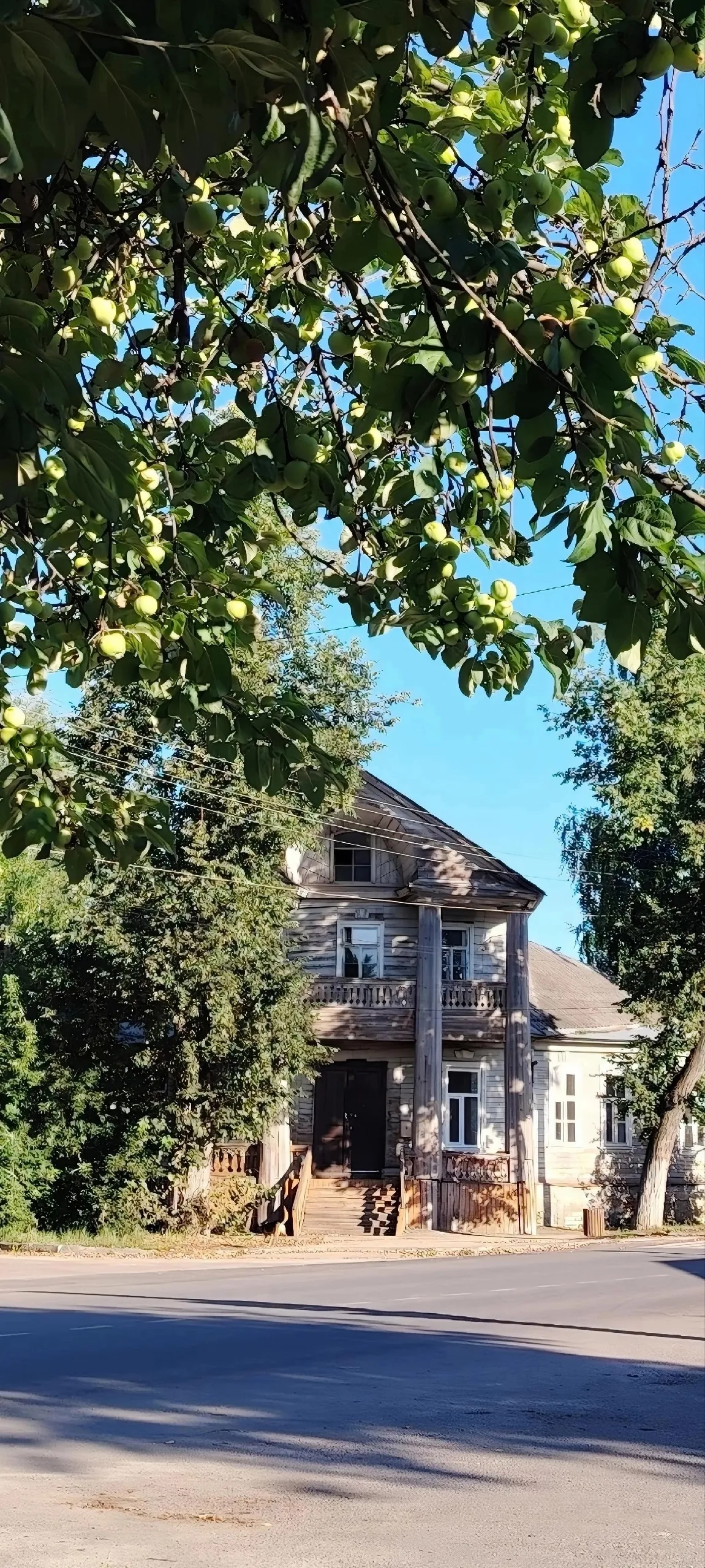 Лето в старом квартале