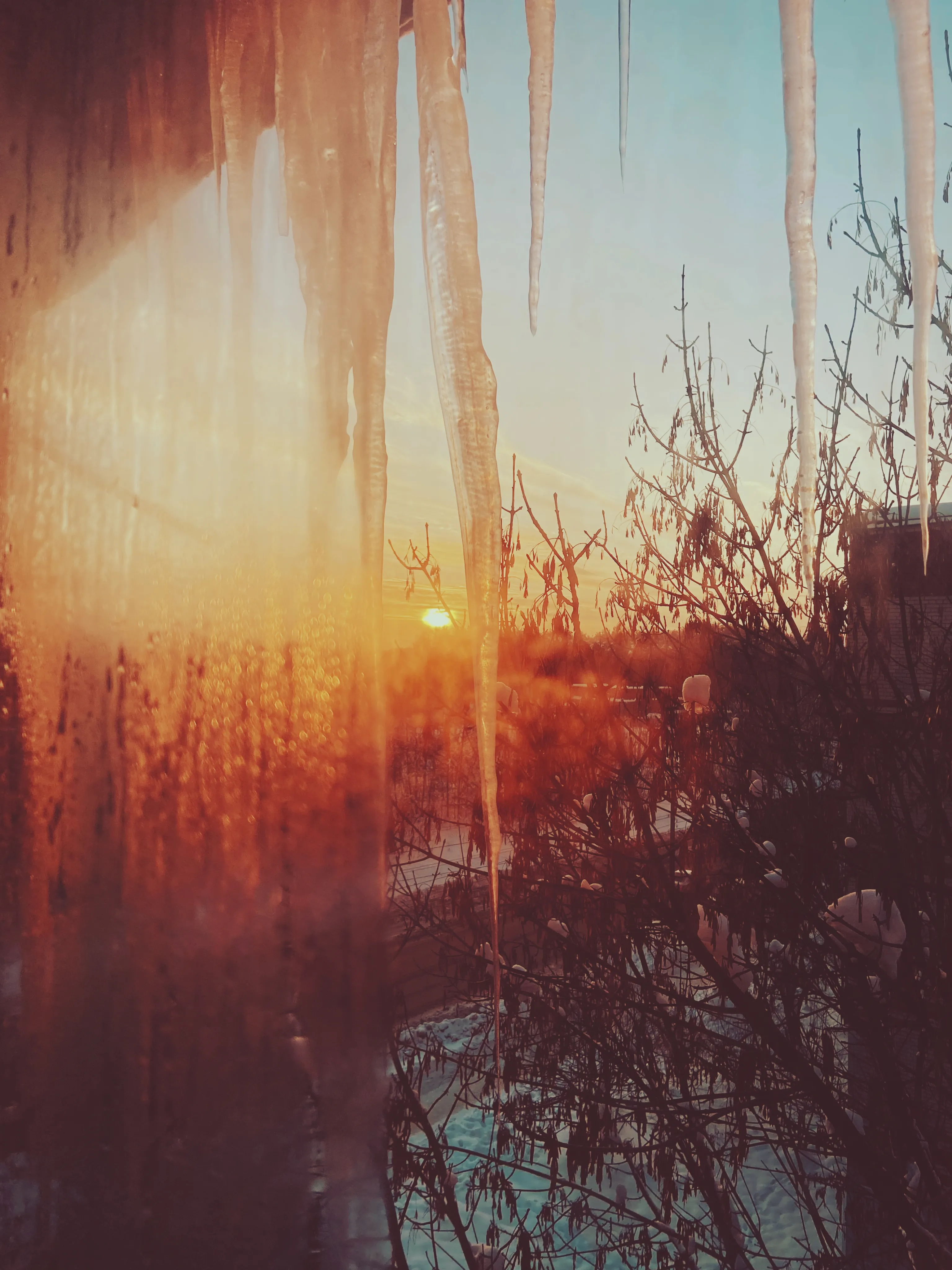 Морозное утро