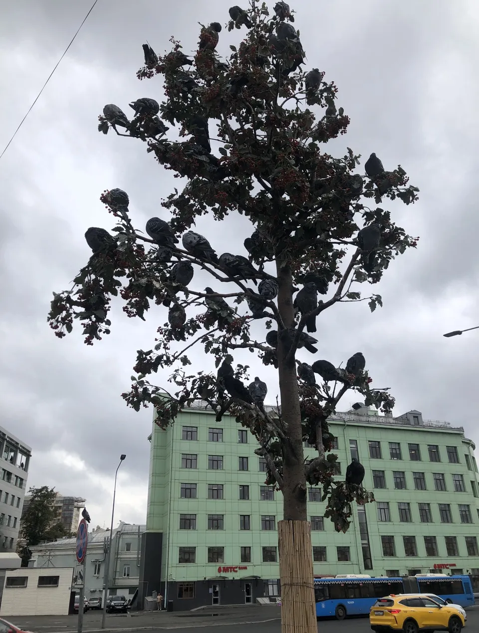Урожай