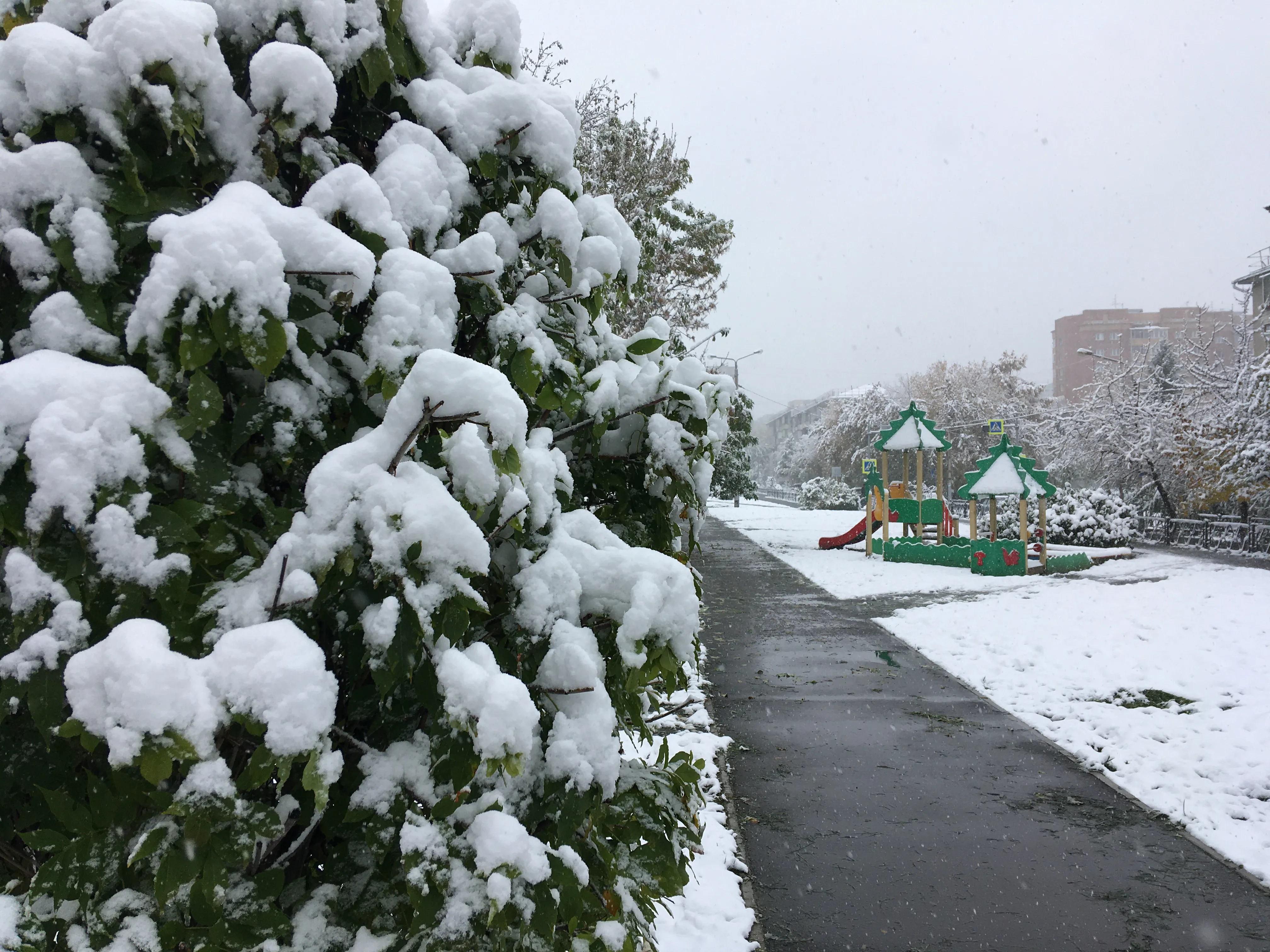 Первый снег