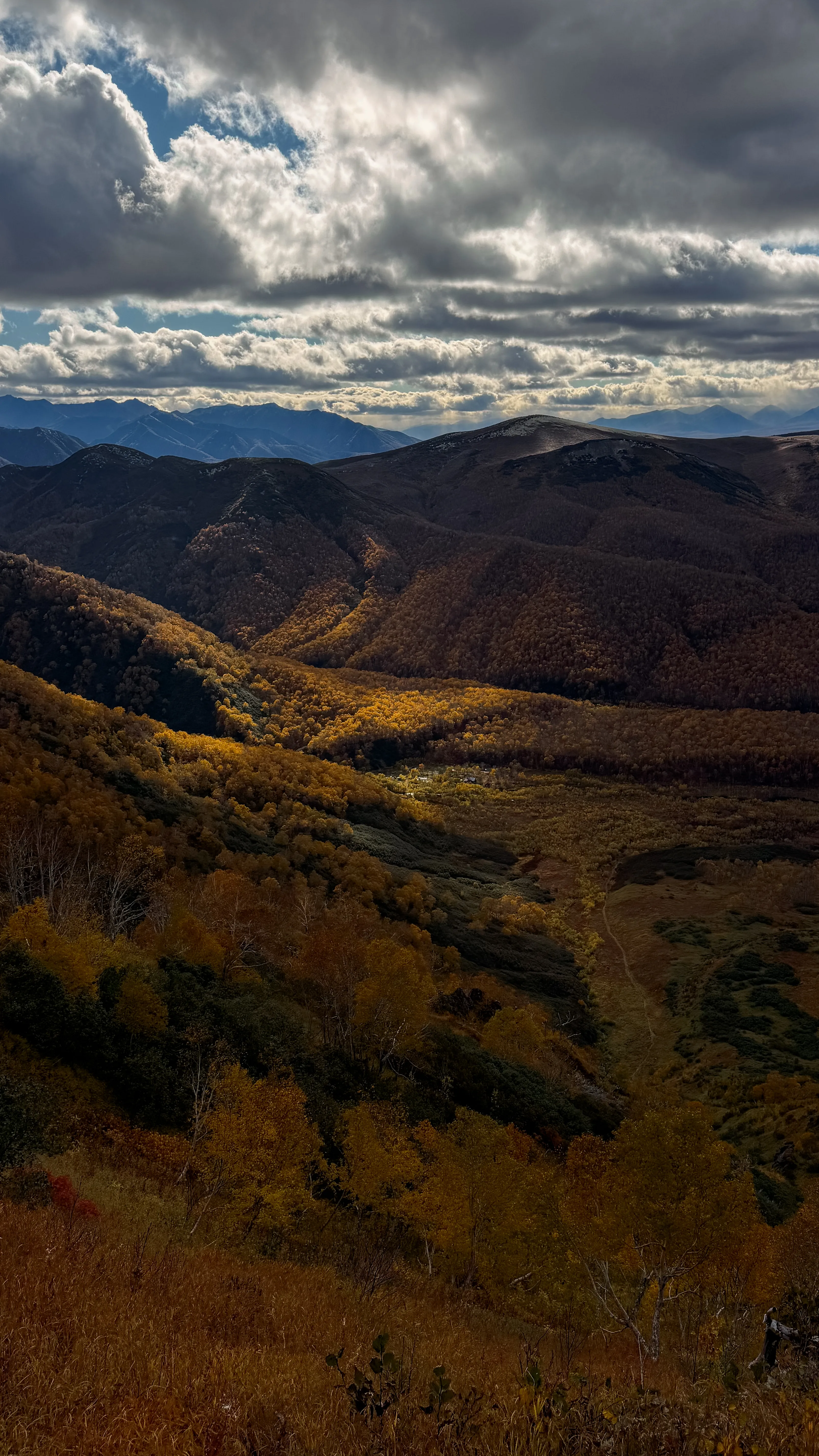 Золотая осень