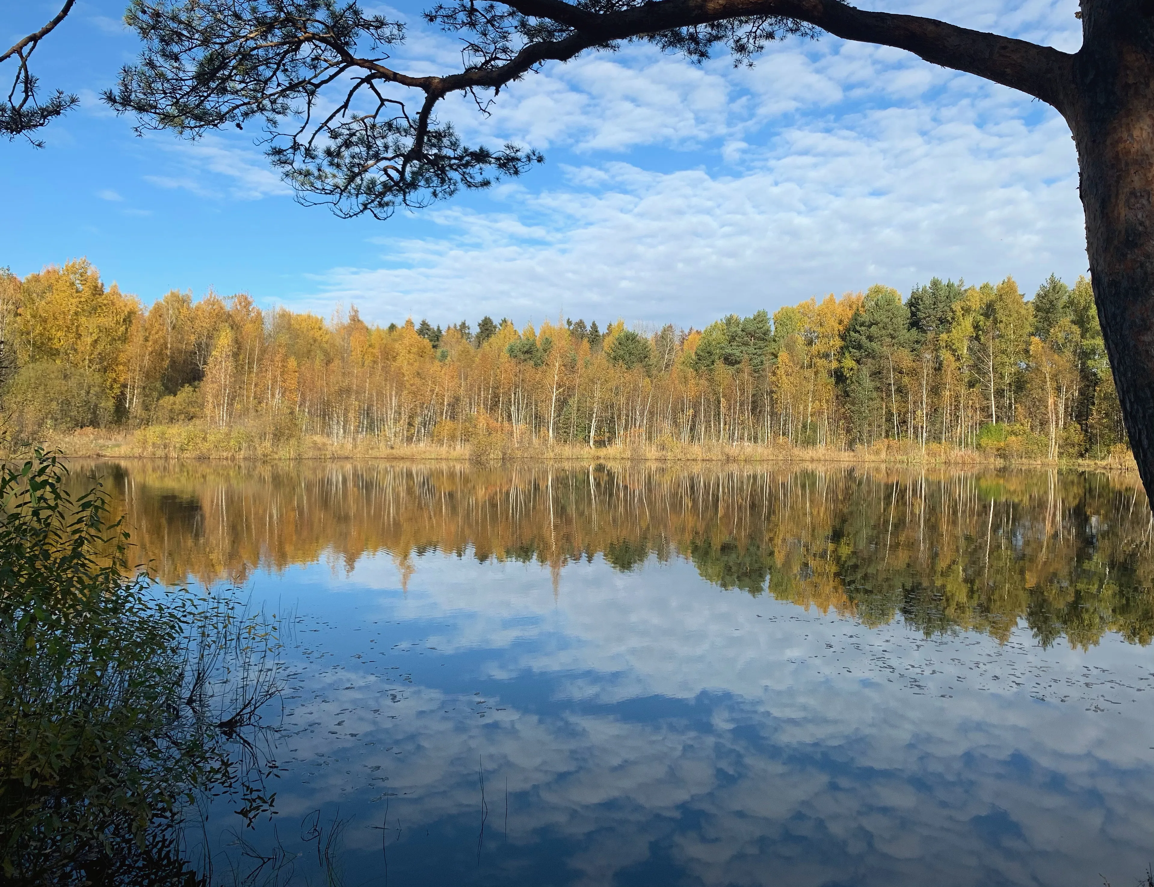 Осенний пейзаж