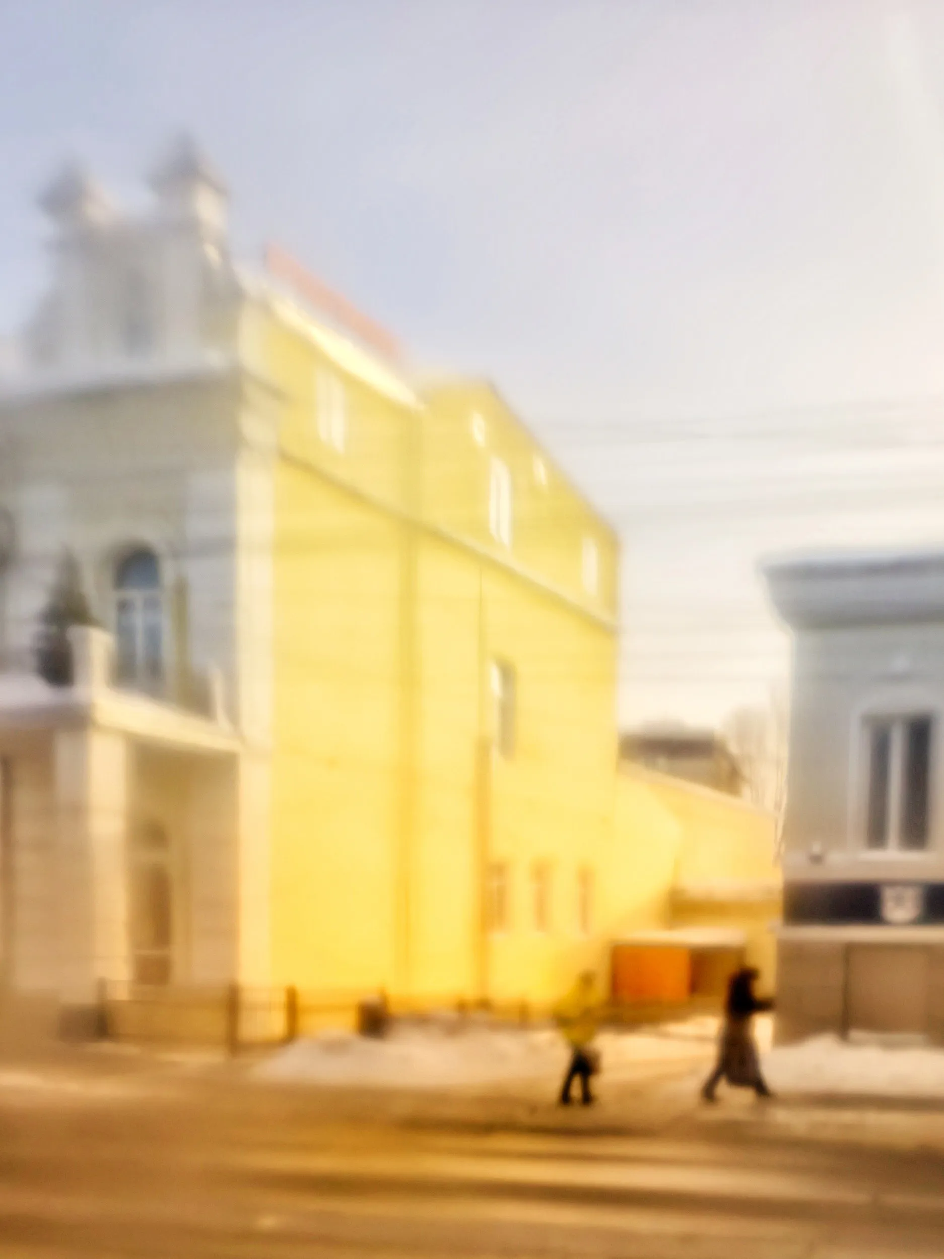 В лучах зимнего дня