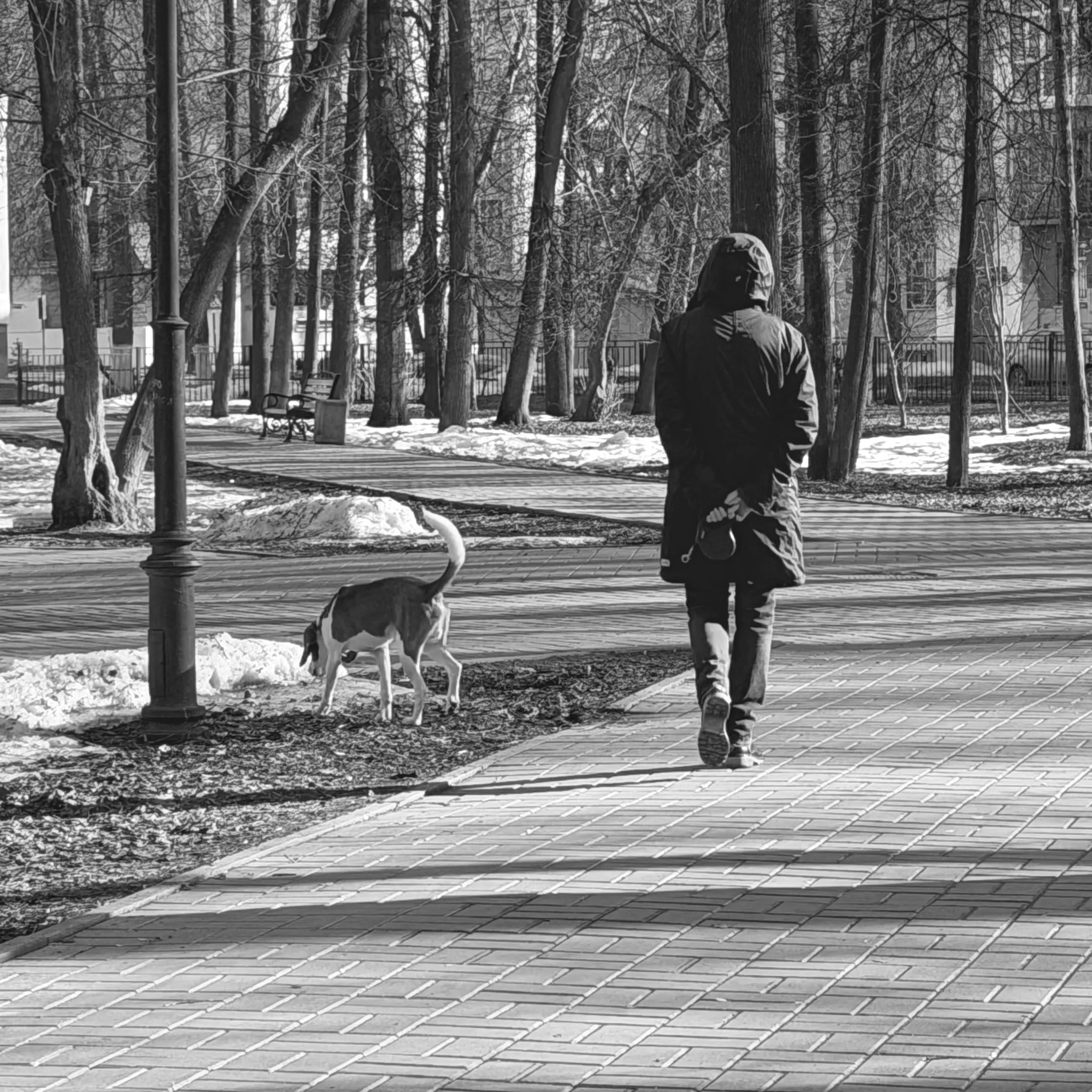 Утренняя прогулка