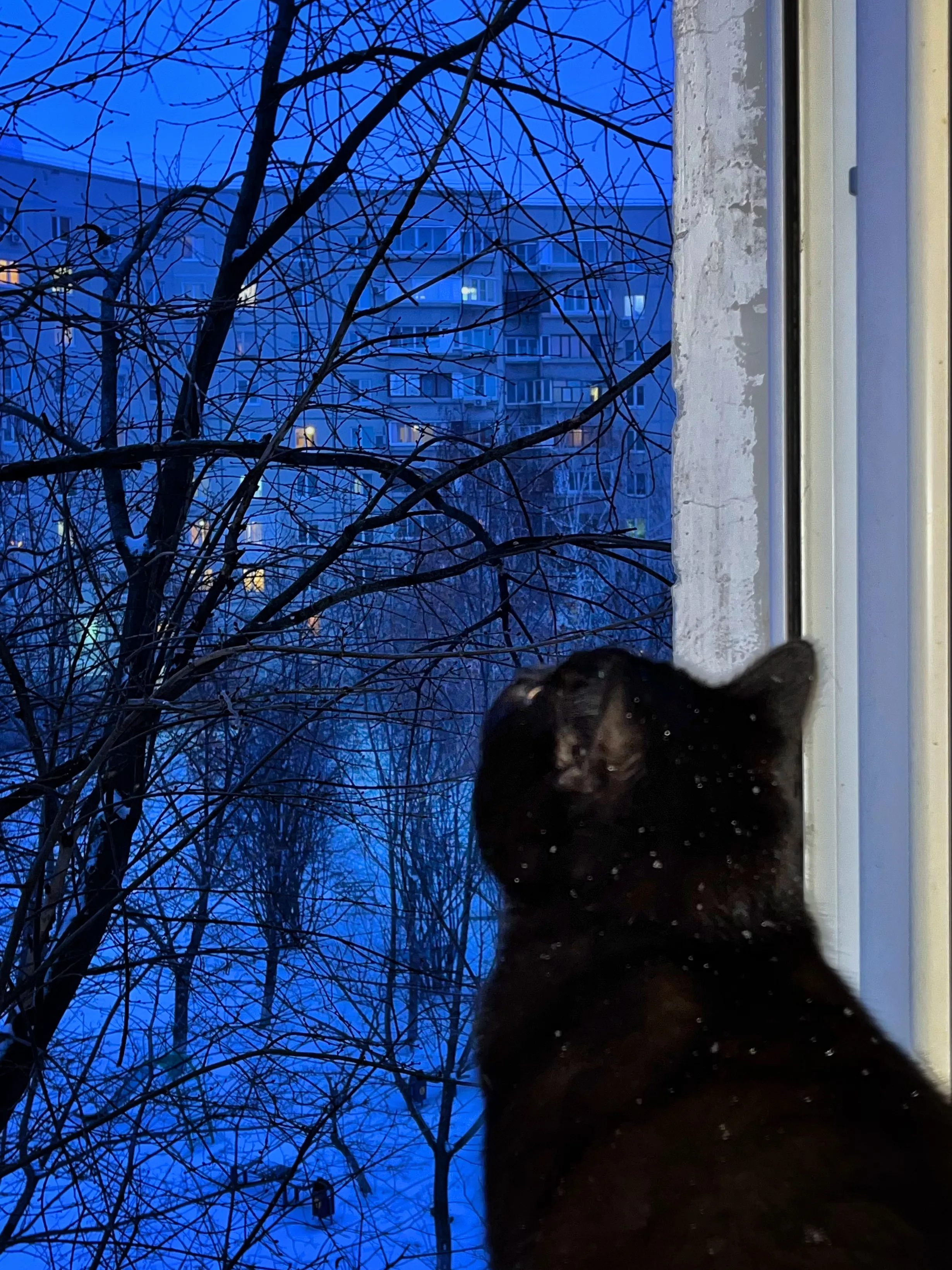 Первый снег