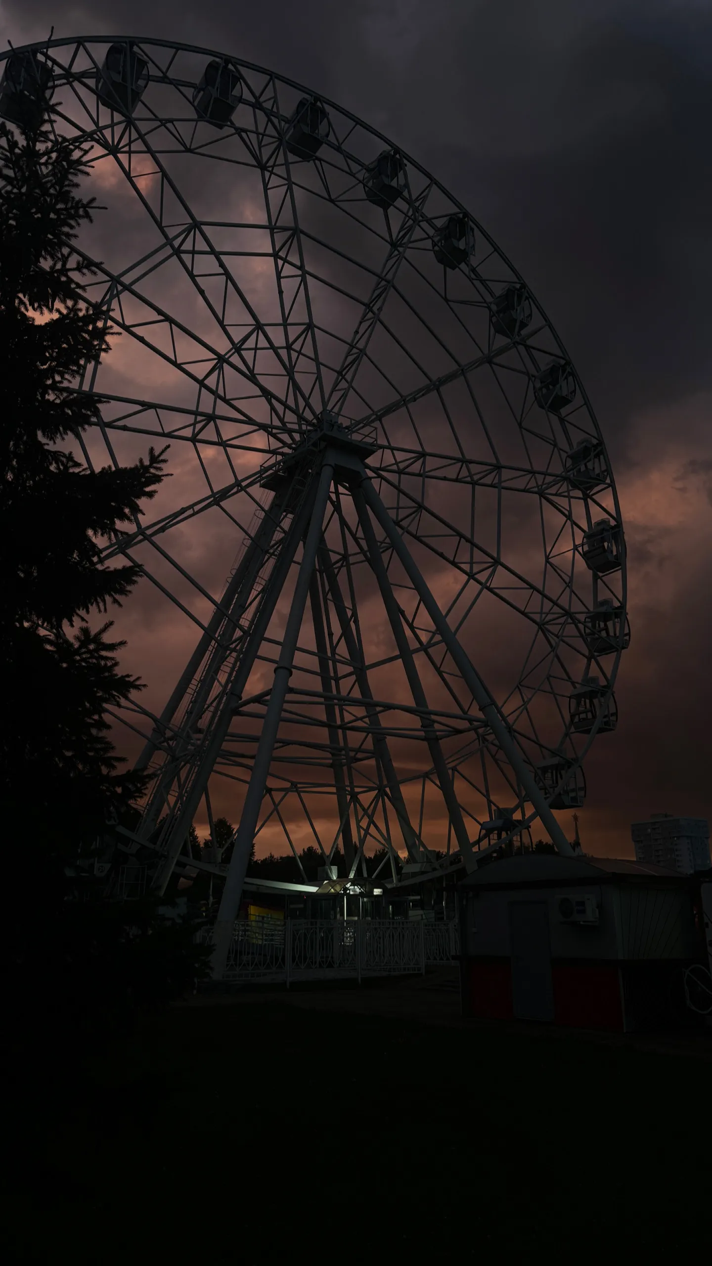 Ночная жизнь