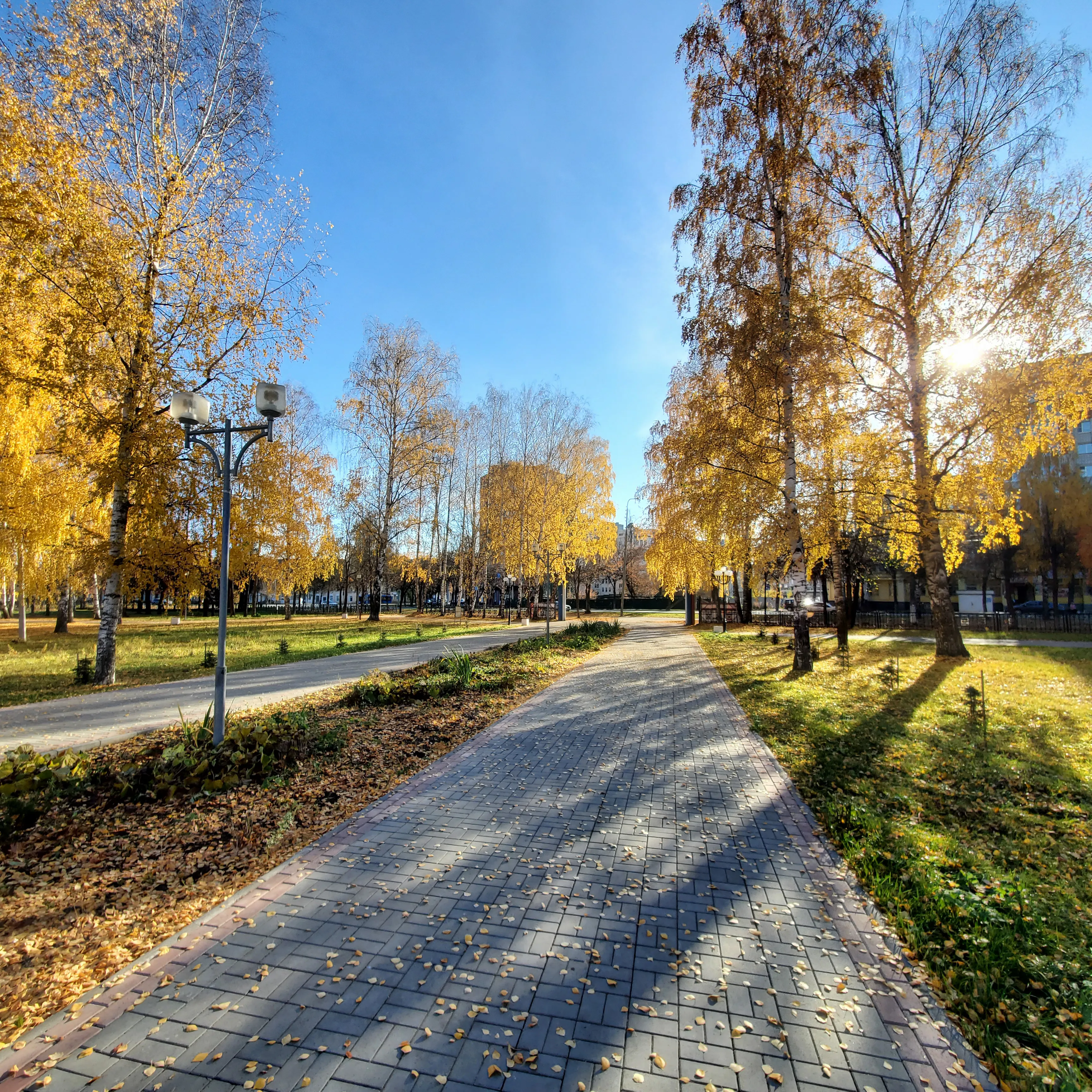 Осень в городе