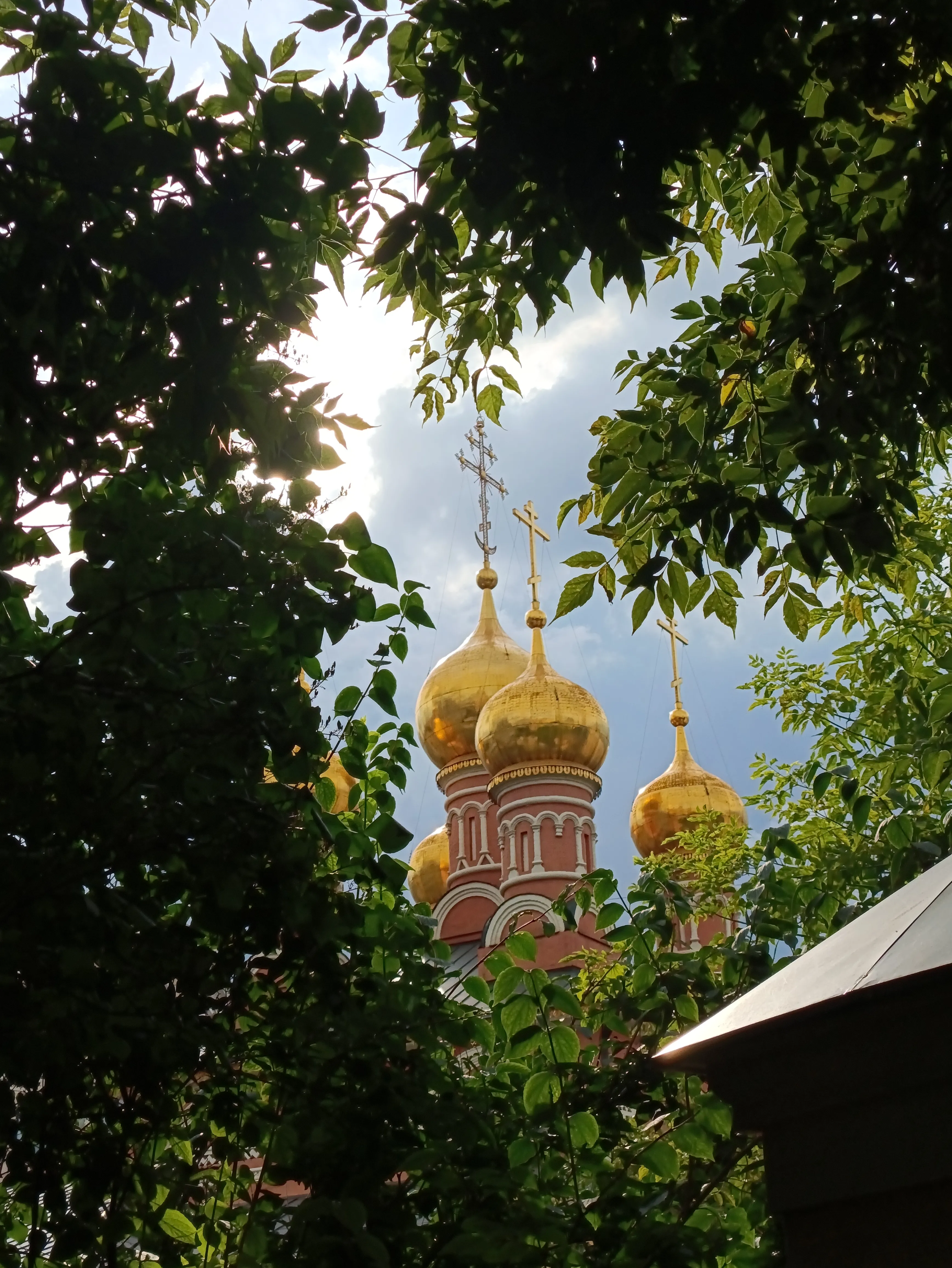 Купола в зелени