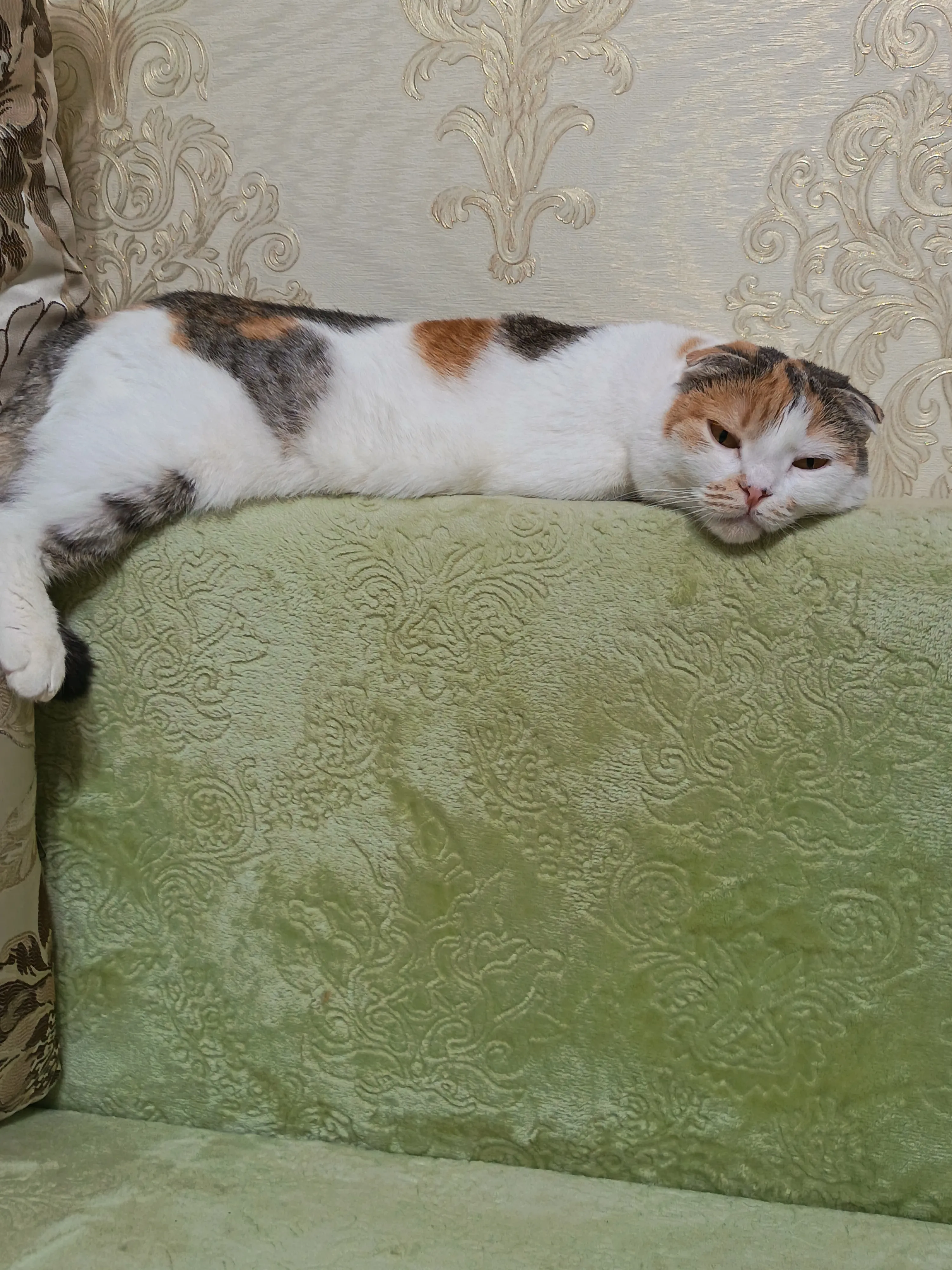 Отдых в летнюю жару